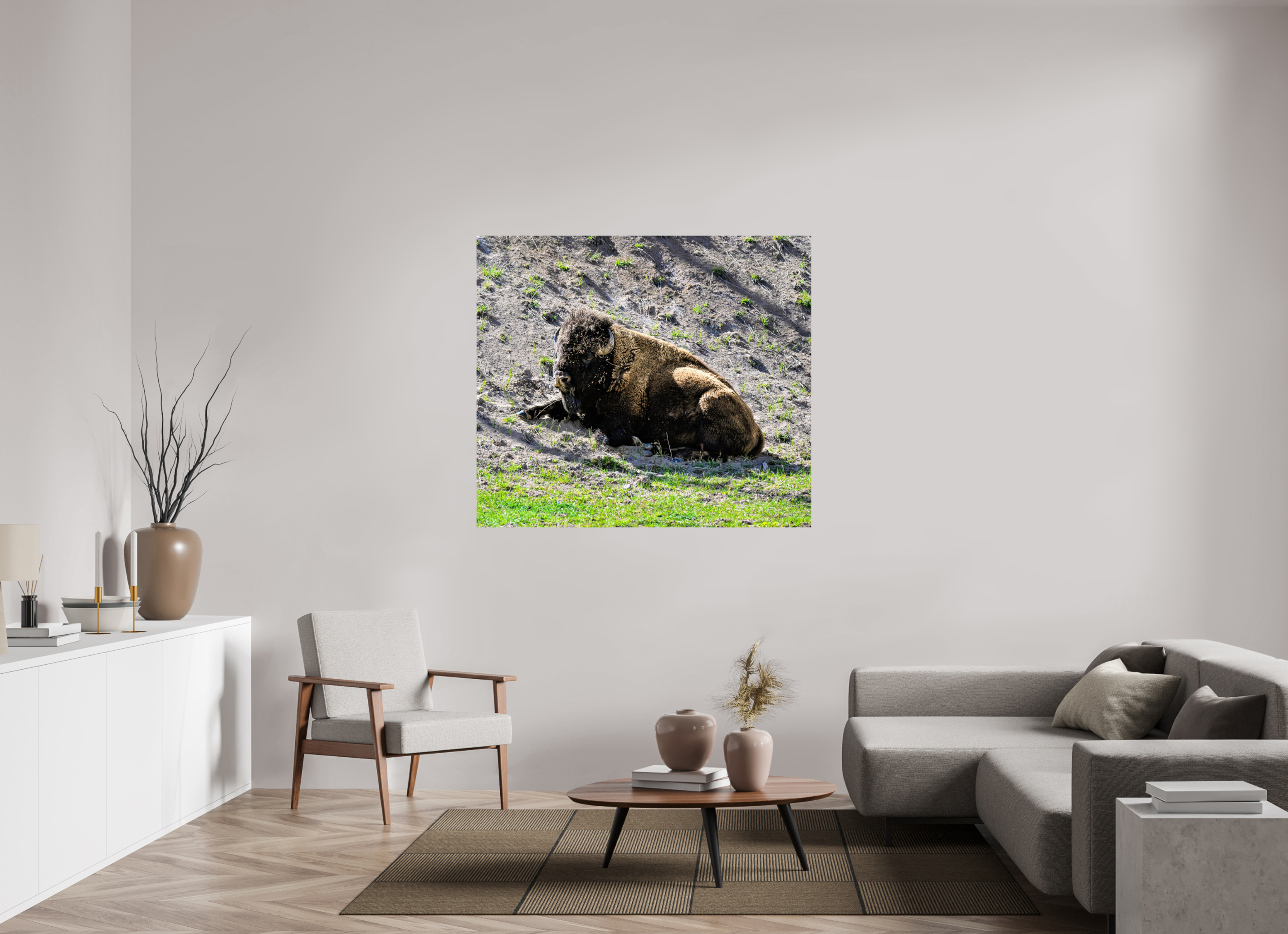 53.9 x 47″, PHOTO PAPER Bison Laying Down