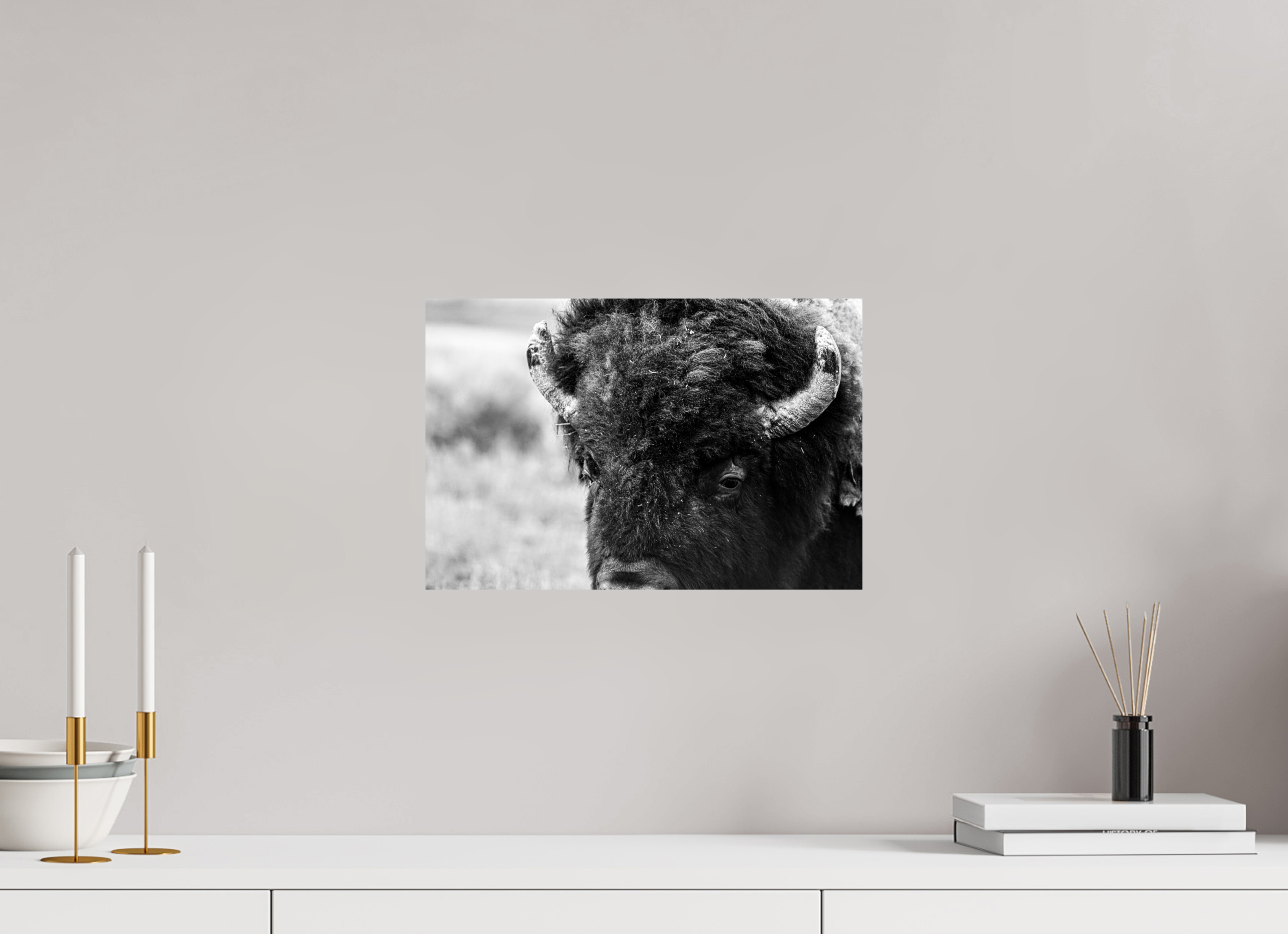 15 x 10″, METAL Bison Monochrome Portrait Close up