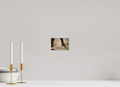 6 x 4″, PHOTO PAPER Pawing