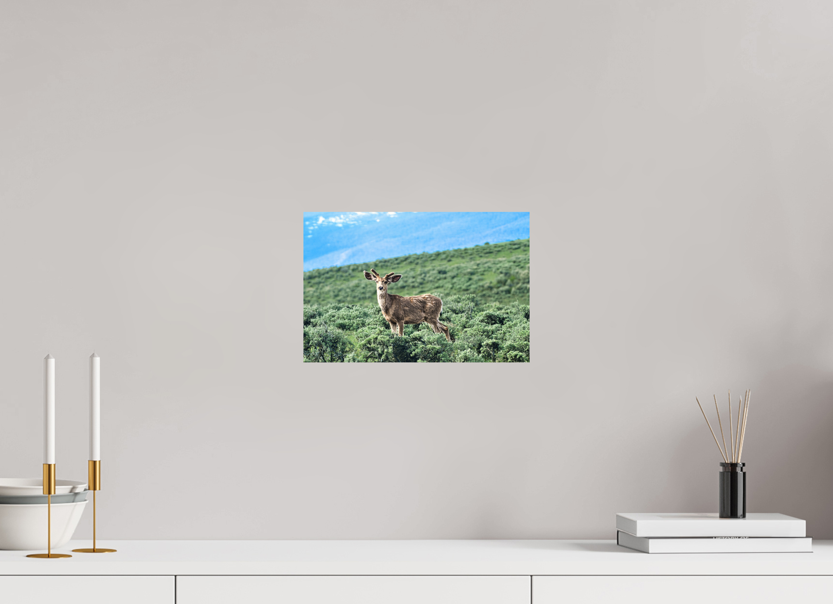 12 x 8″, METAL Deer