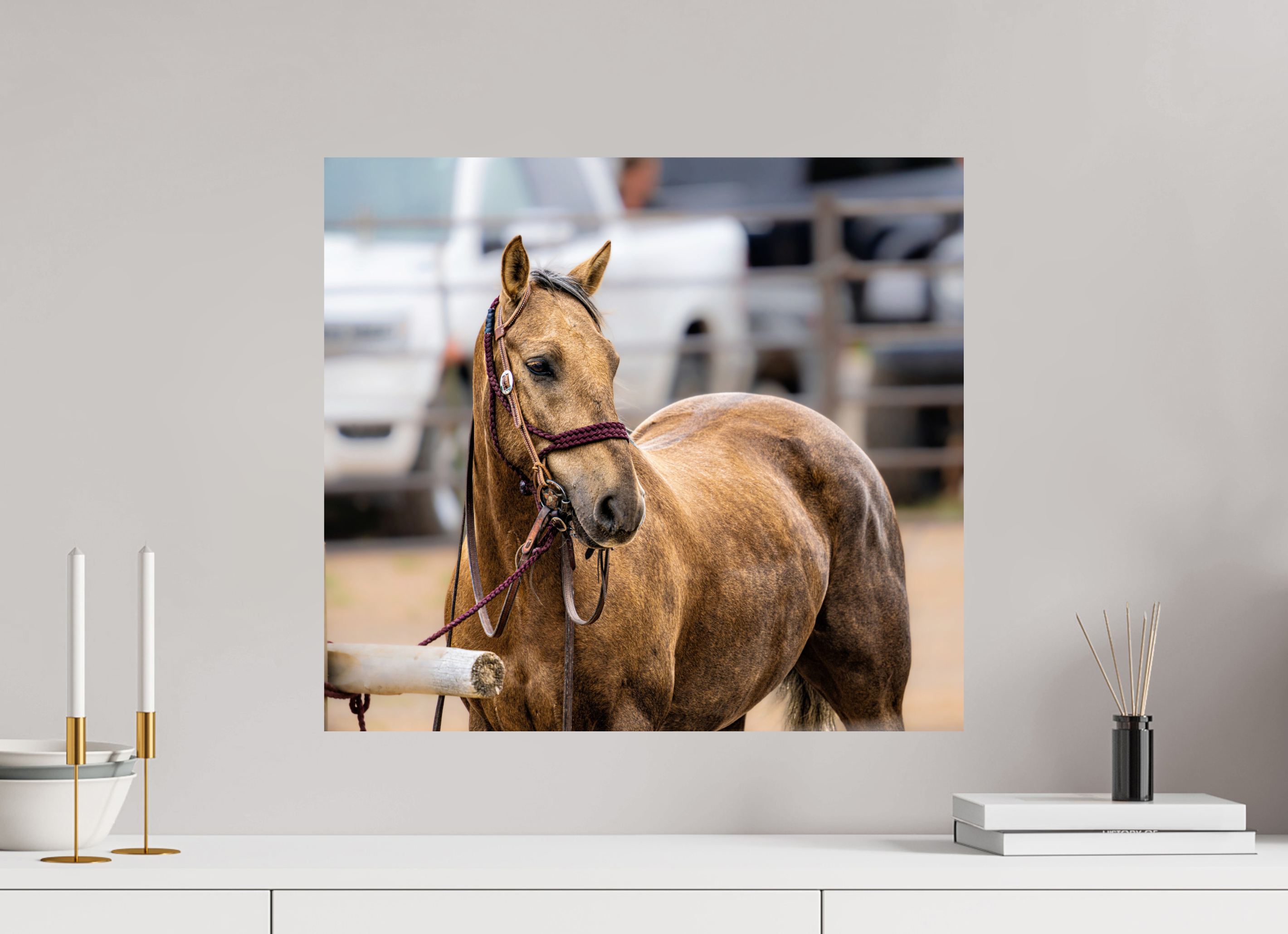 22.3 x 20″, PHOTO PAPER Pack Horse Portrait 3