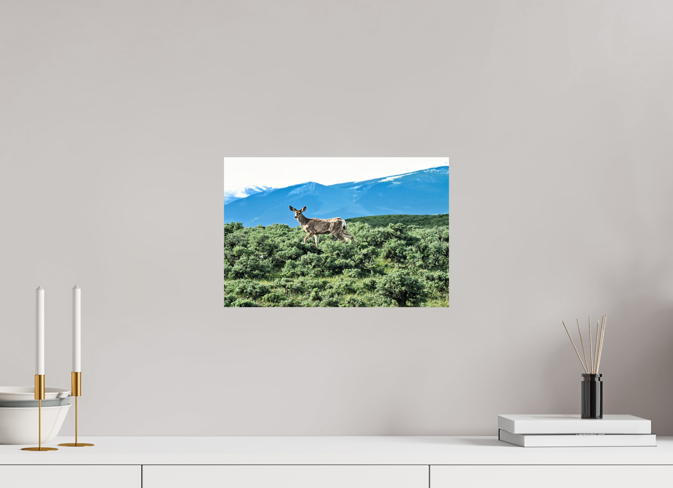 15 x 10″, PHOTO PAPER Deer
