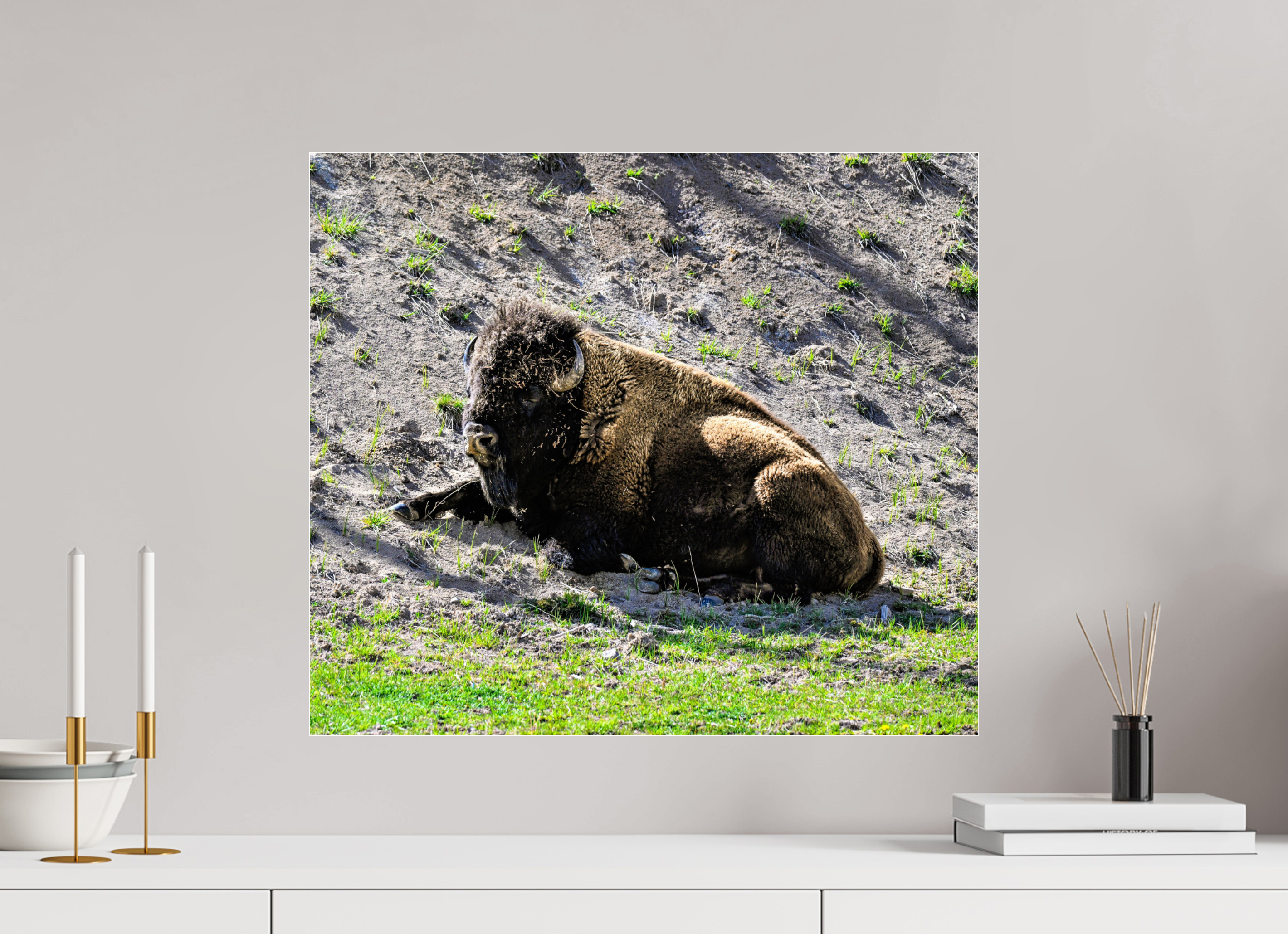 23 x 20″, ACRYLIC Bison Laying Down