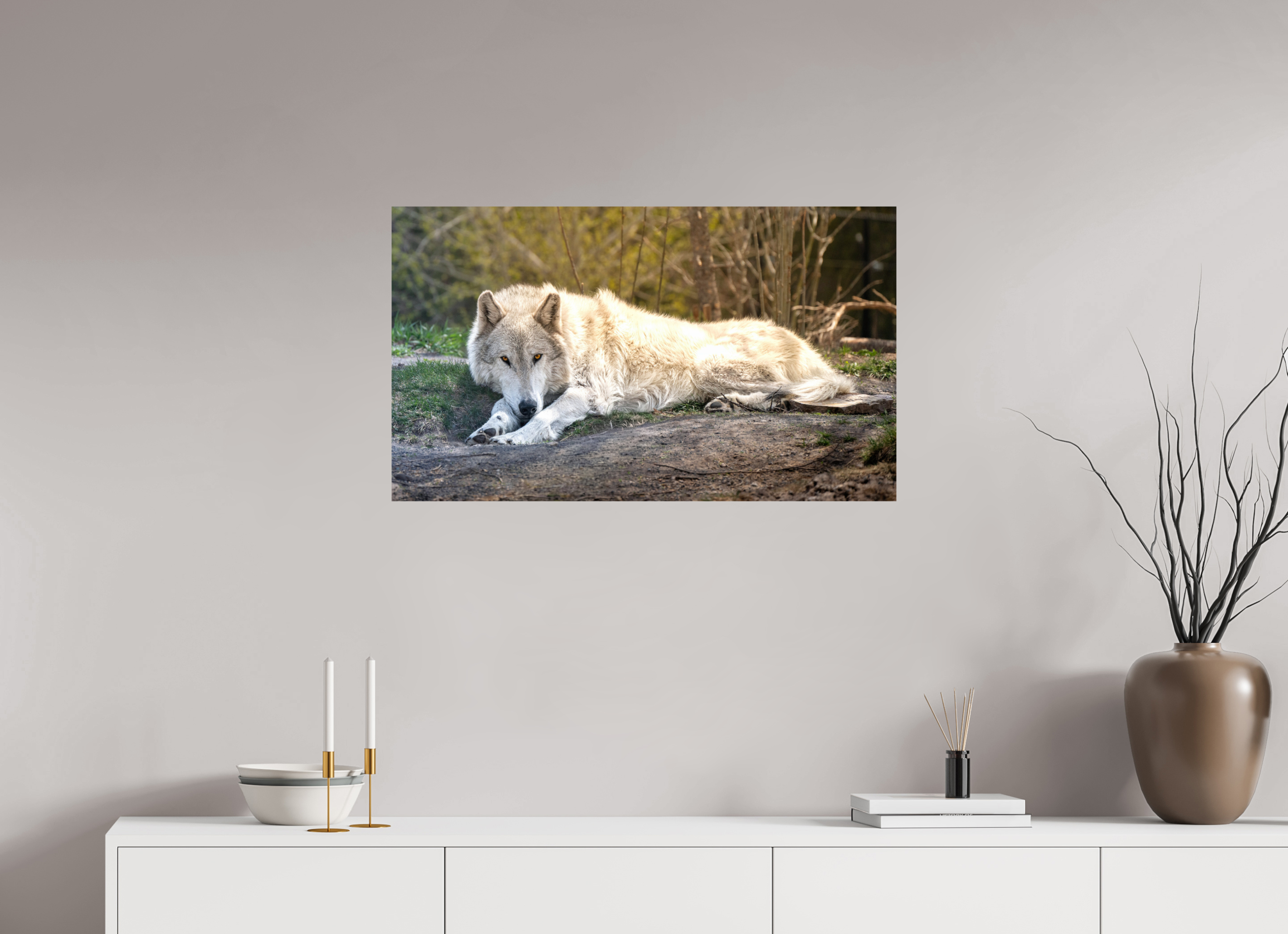 34.3 x 20″, PHOTO PAPER Wolf Laying Down