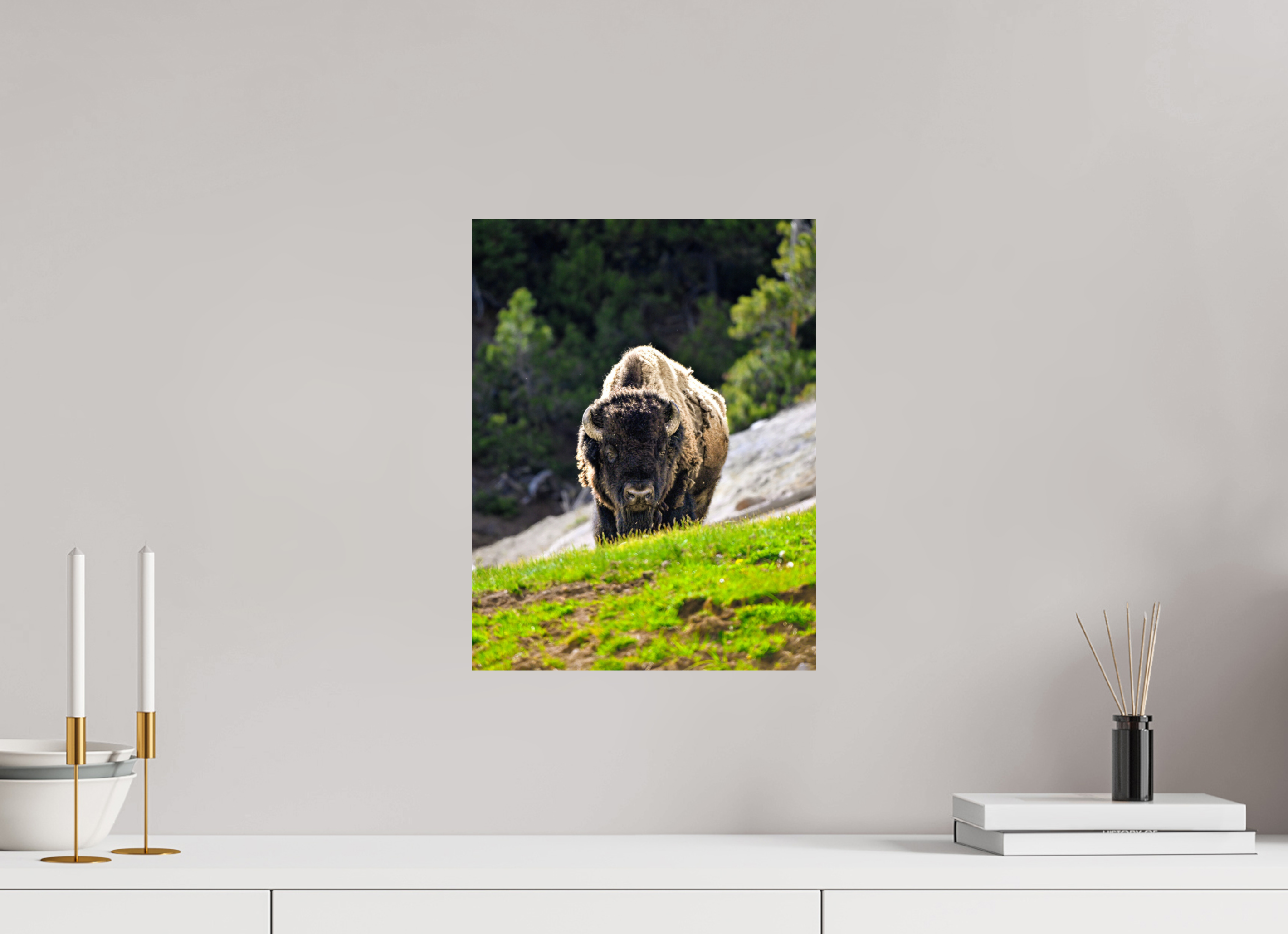 12 x 15.7″, PHOTO PAPER Bison Portrait