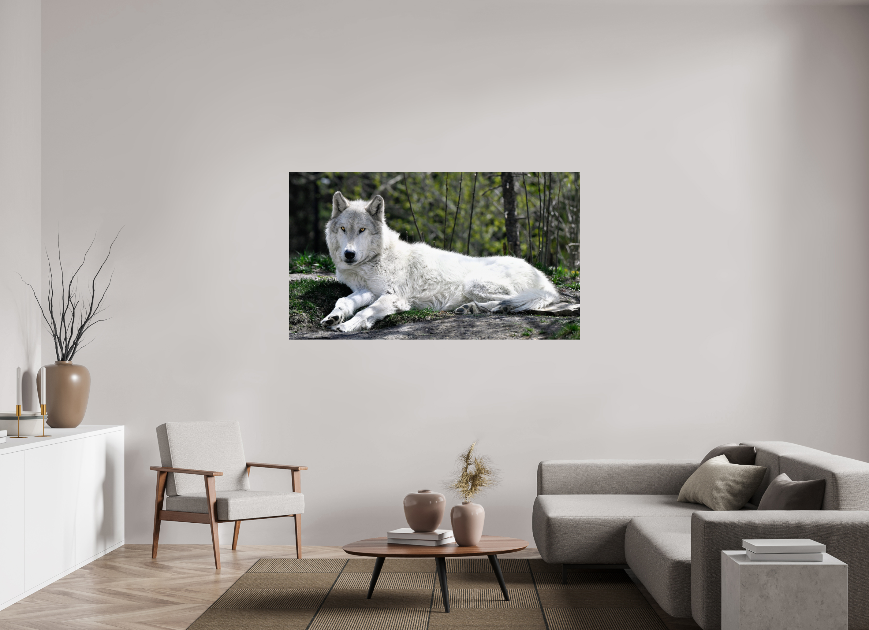 67.8 x 39″, PHOTO PAPER Wolf Laying Down