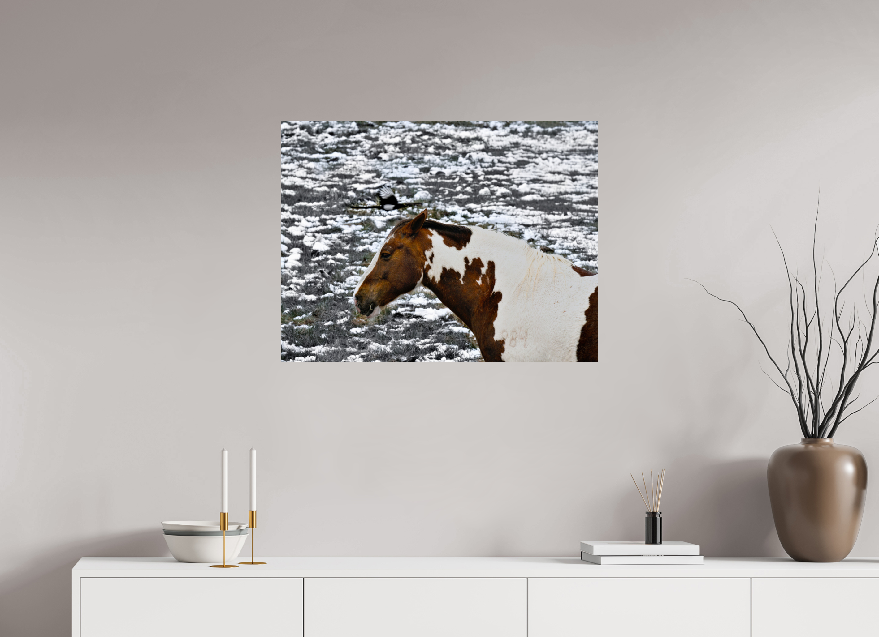 31.5 x 24″, PHOTO PAPER Paint Horse with Bird Flying Over