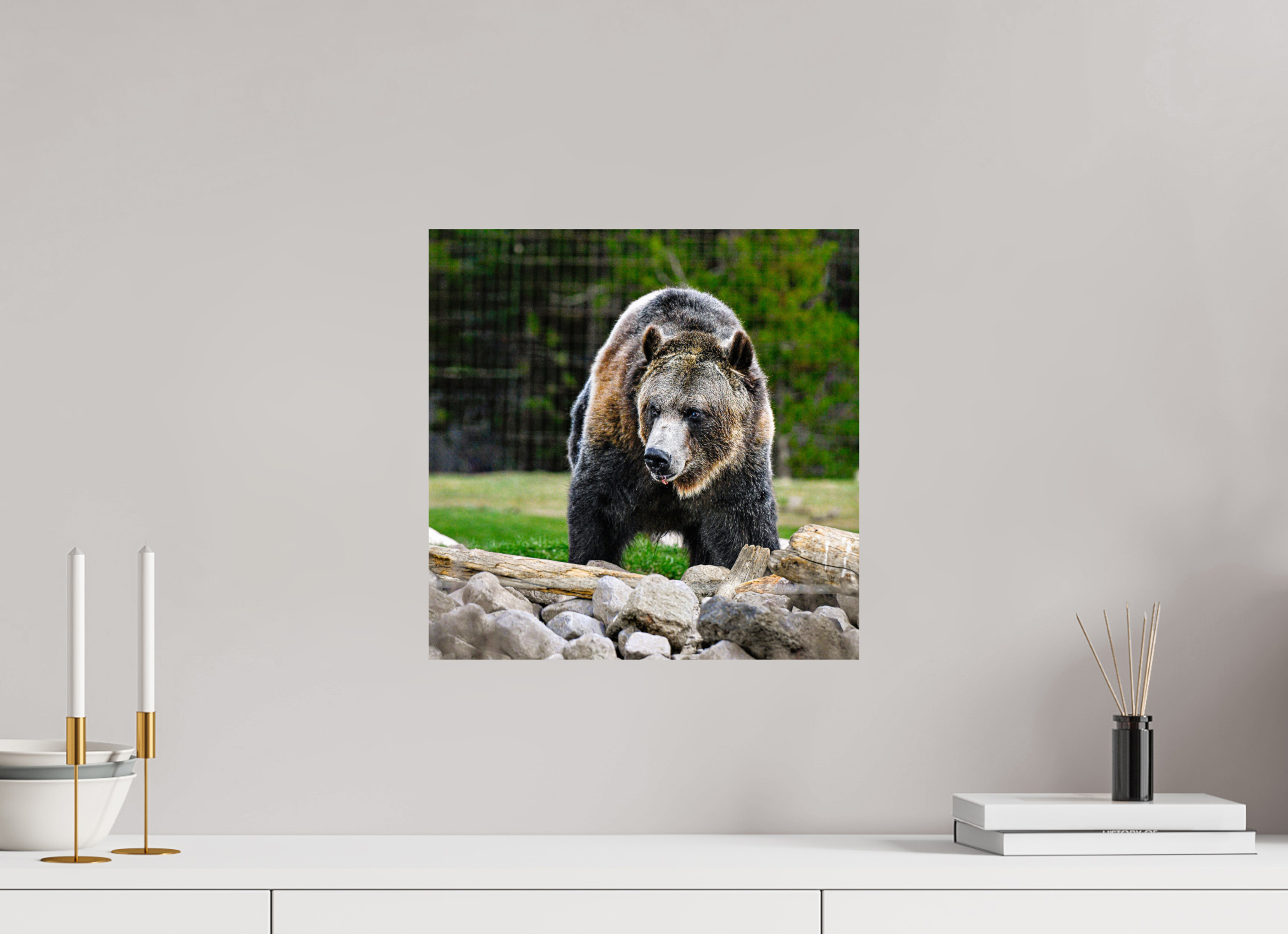 15 x 15″, PHOTO PAPER Bear