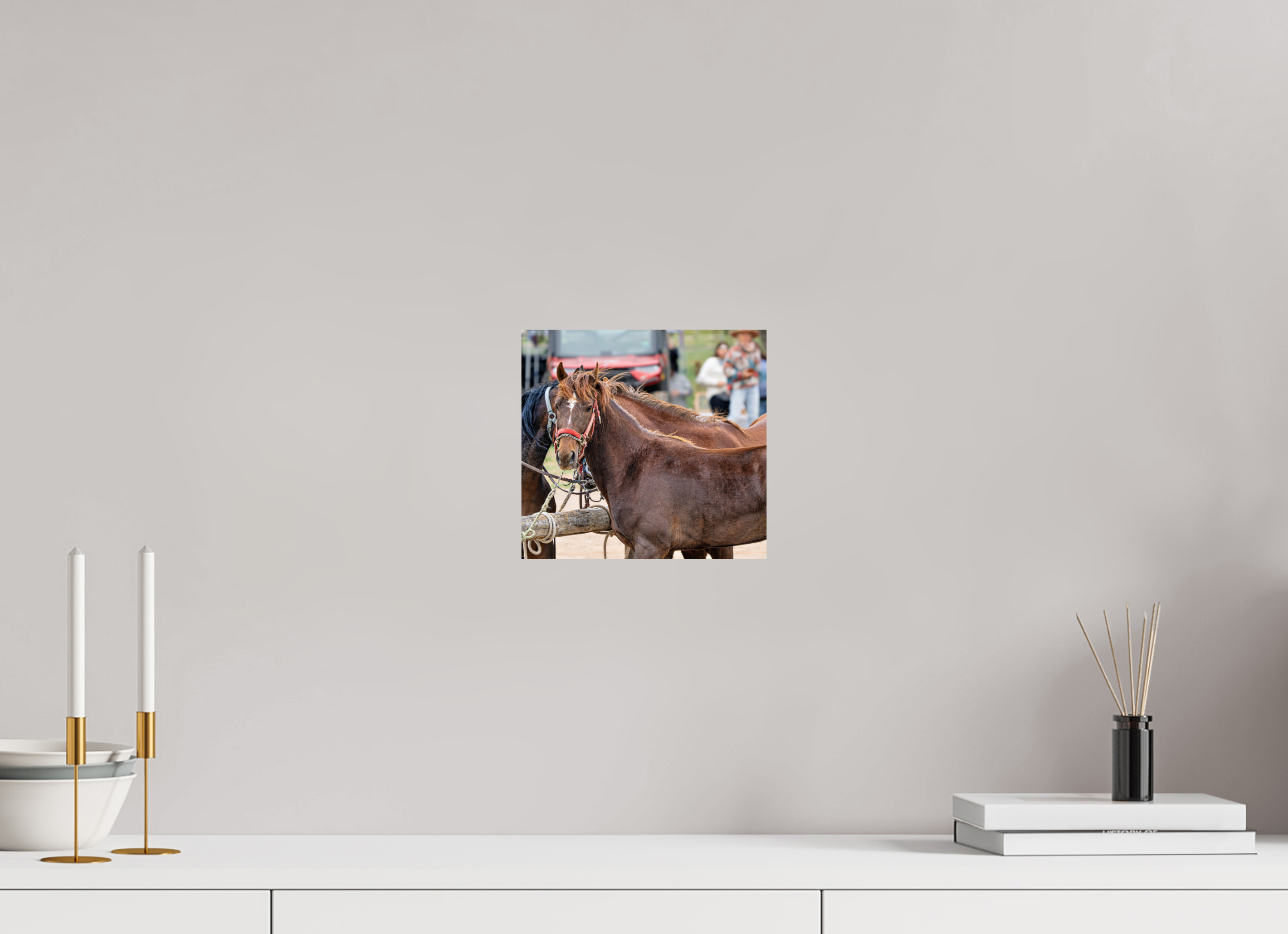 8.5 x 8″, PHOTO PAPER Pack Horse Portrait 10 Web Exclusive