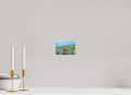 6 x 4″, PHOTO PAPER Deer