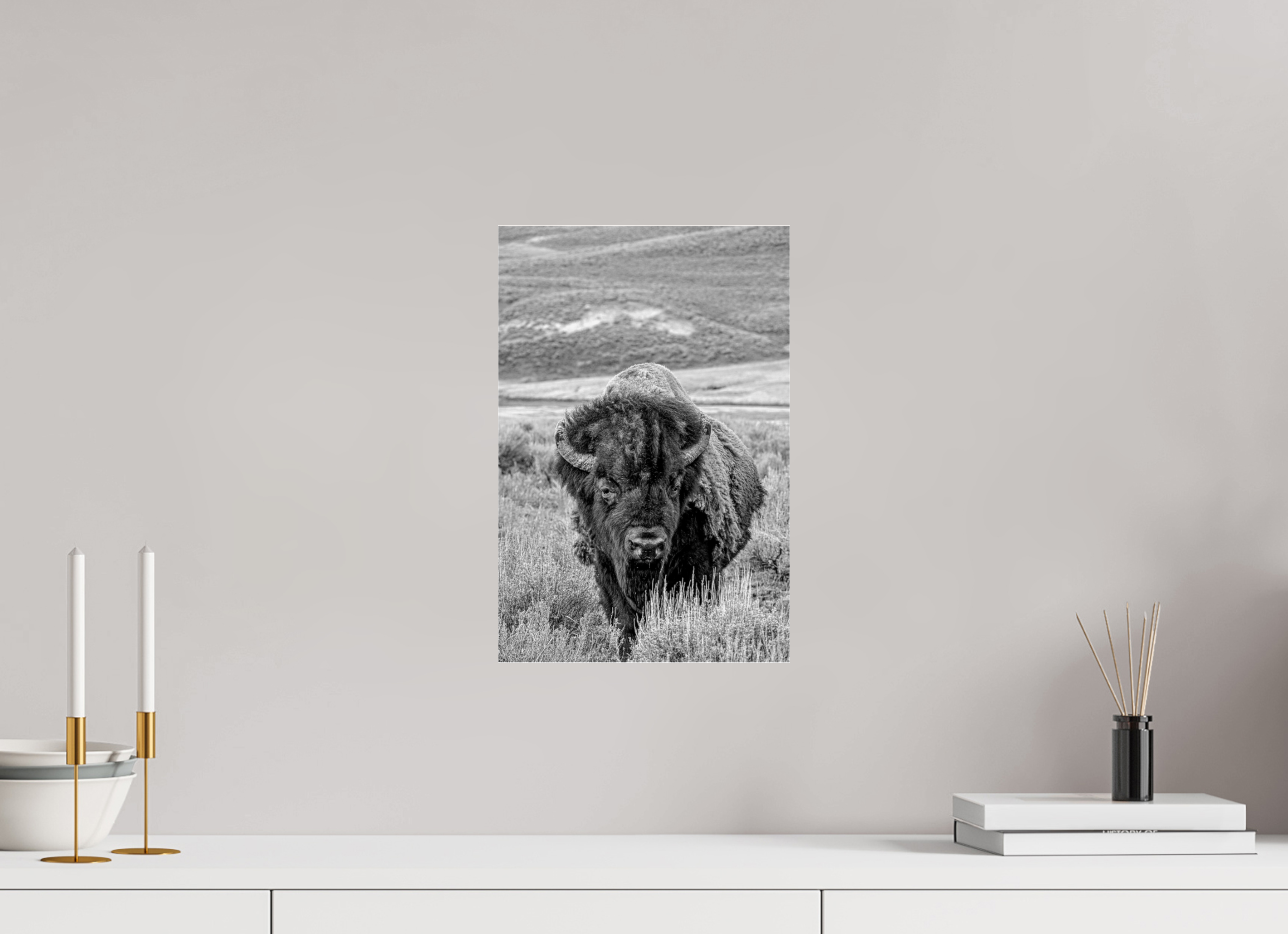10 x 15″, ACRYLIC Monochrome Bison