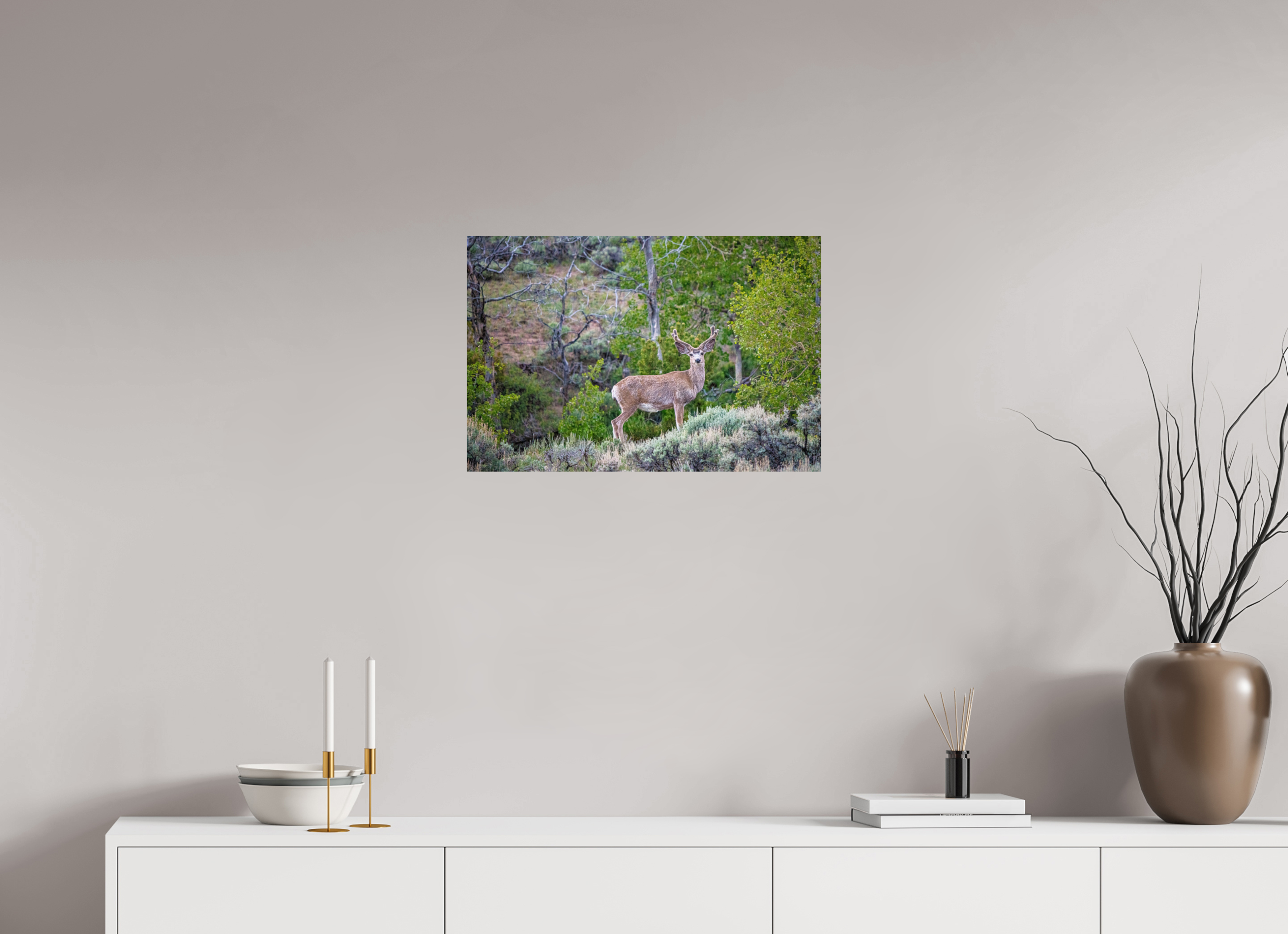 24 x 16″, PHOTO PAPER Deer