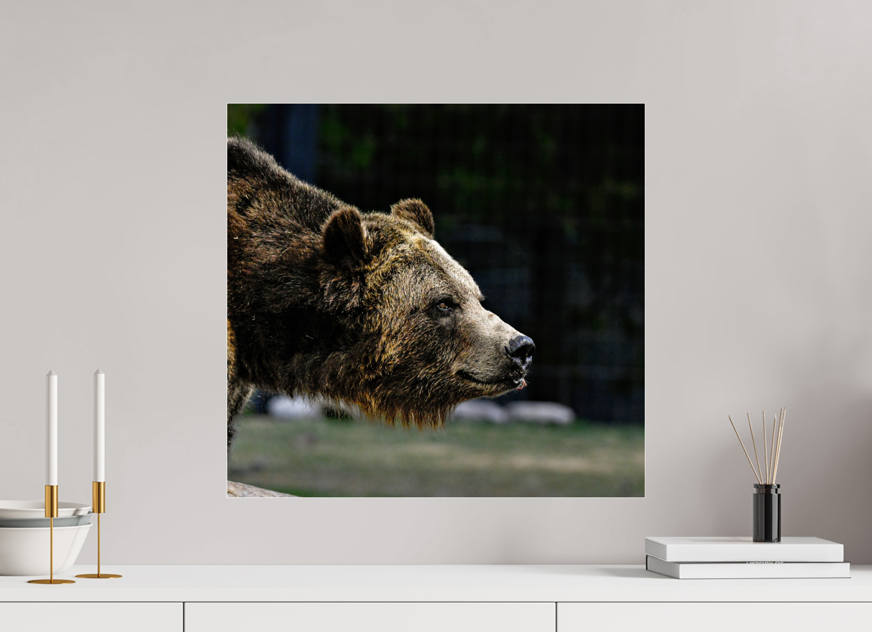 21.2 x 20″, ACRYLIC Bear Close Up