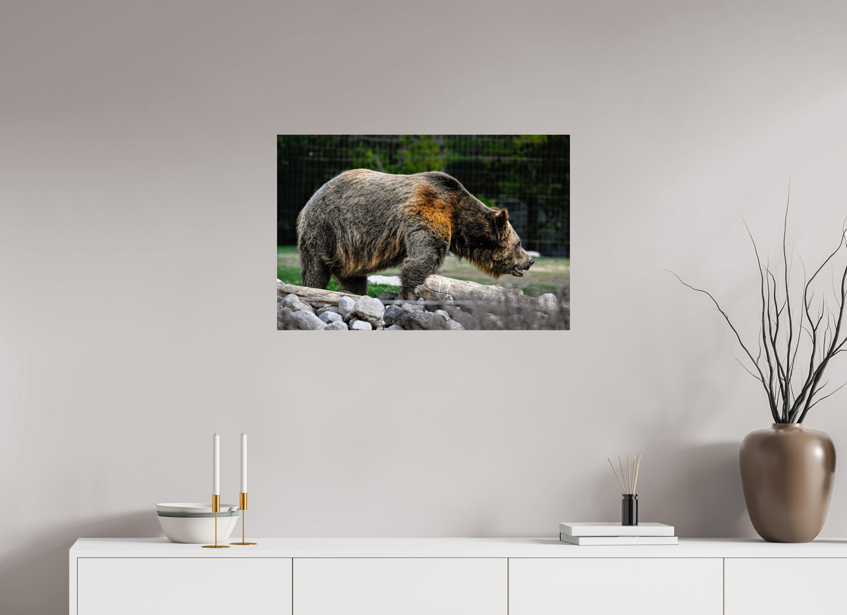 30 x 20″, METAL Bear