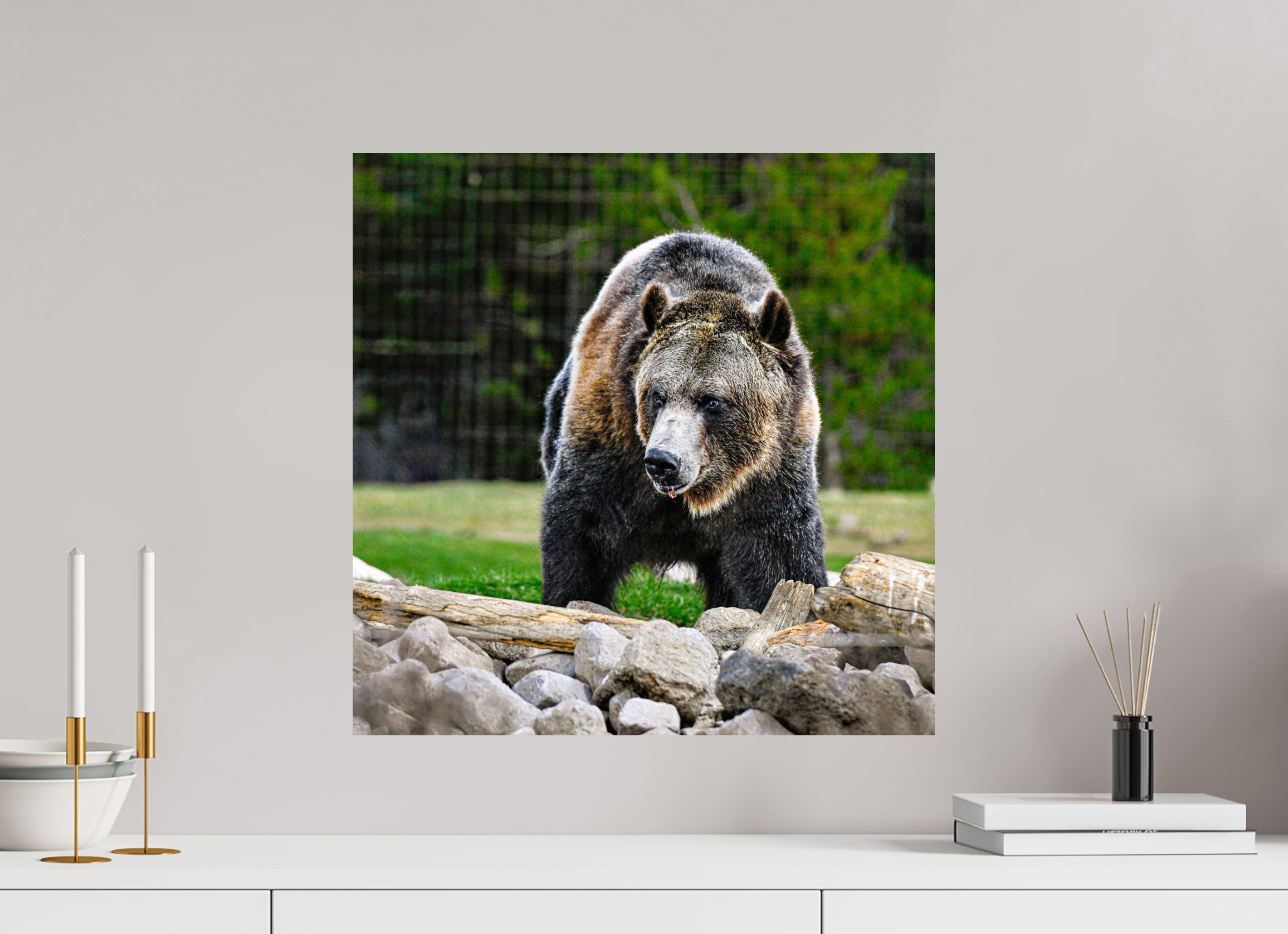 20 x 20″, METAL Bear