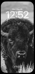 Black And White Bison Phone Wallpapers