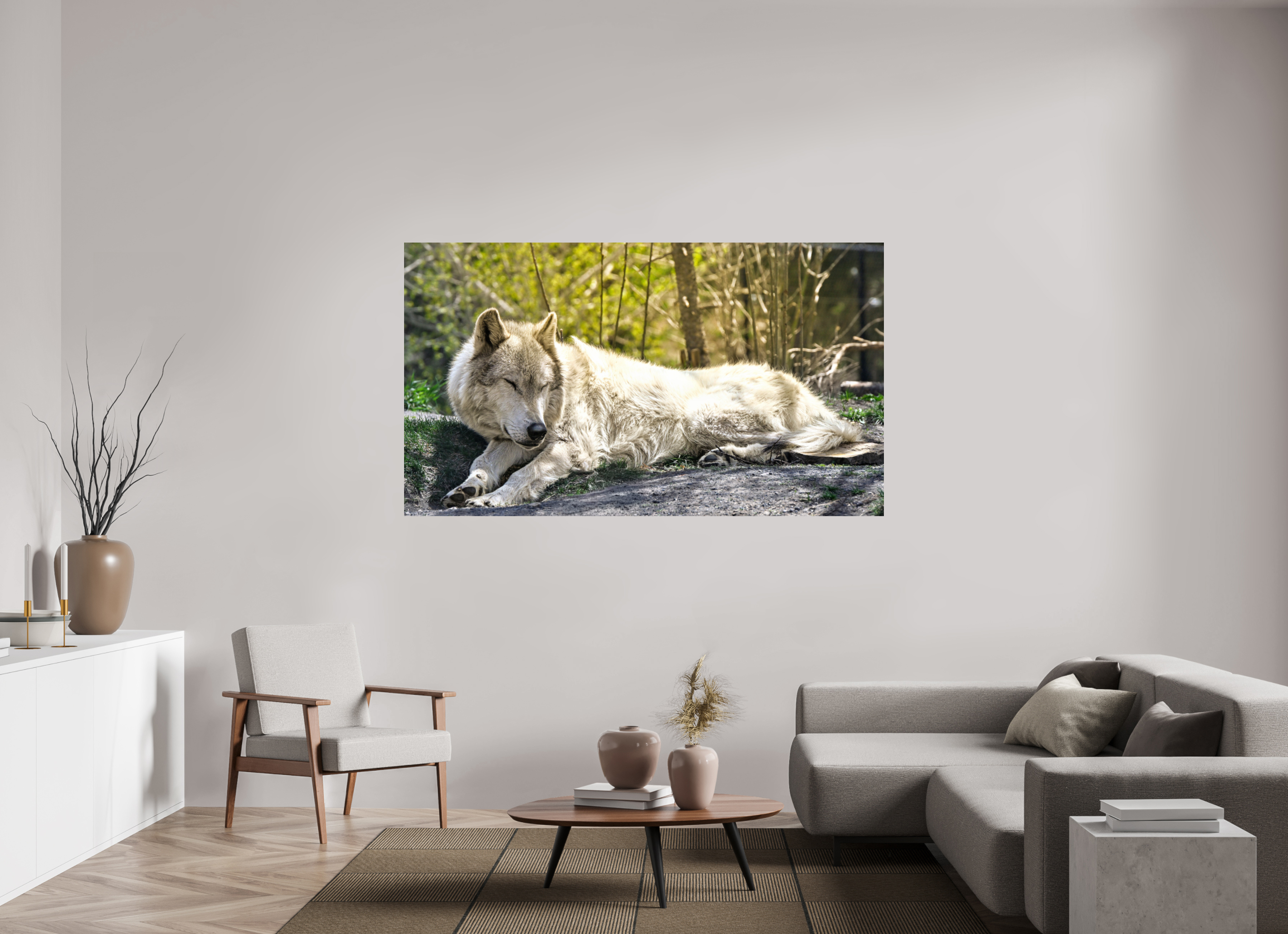 75.4 x 43″, PHOTO PAPER Wolf Napping