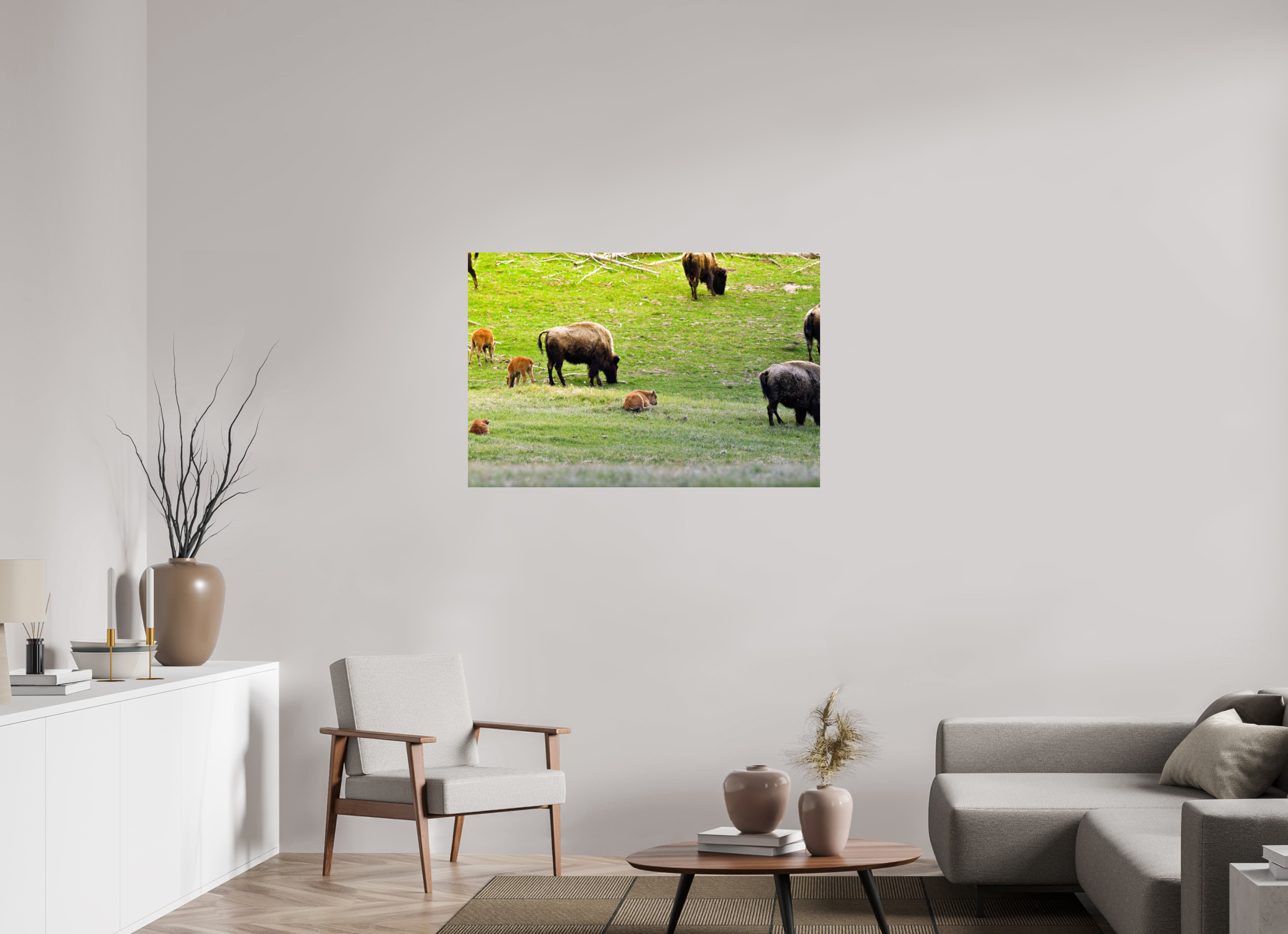 45 x 30″, PHOTO PAPER Bison Herd