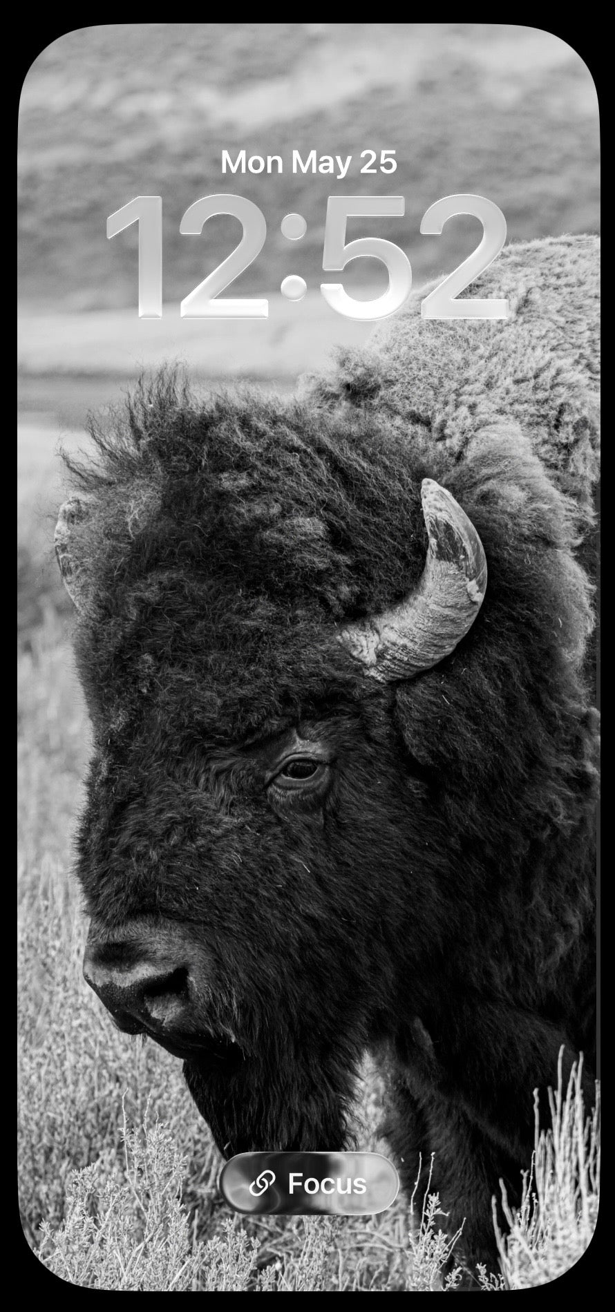 Black And White Bison Phone Wallpapers