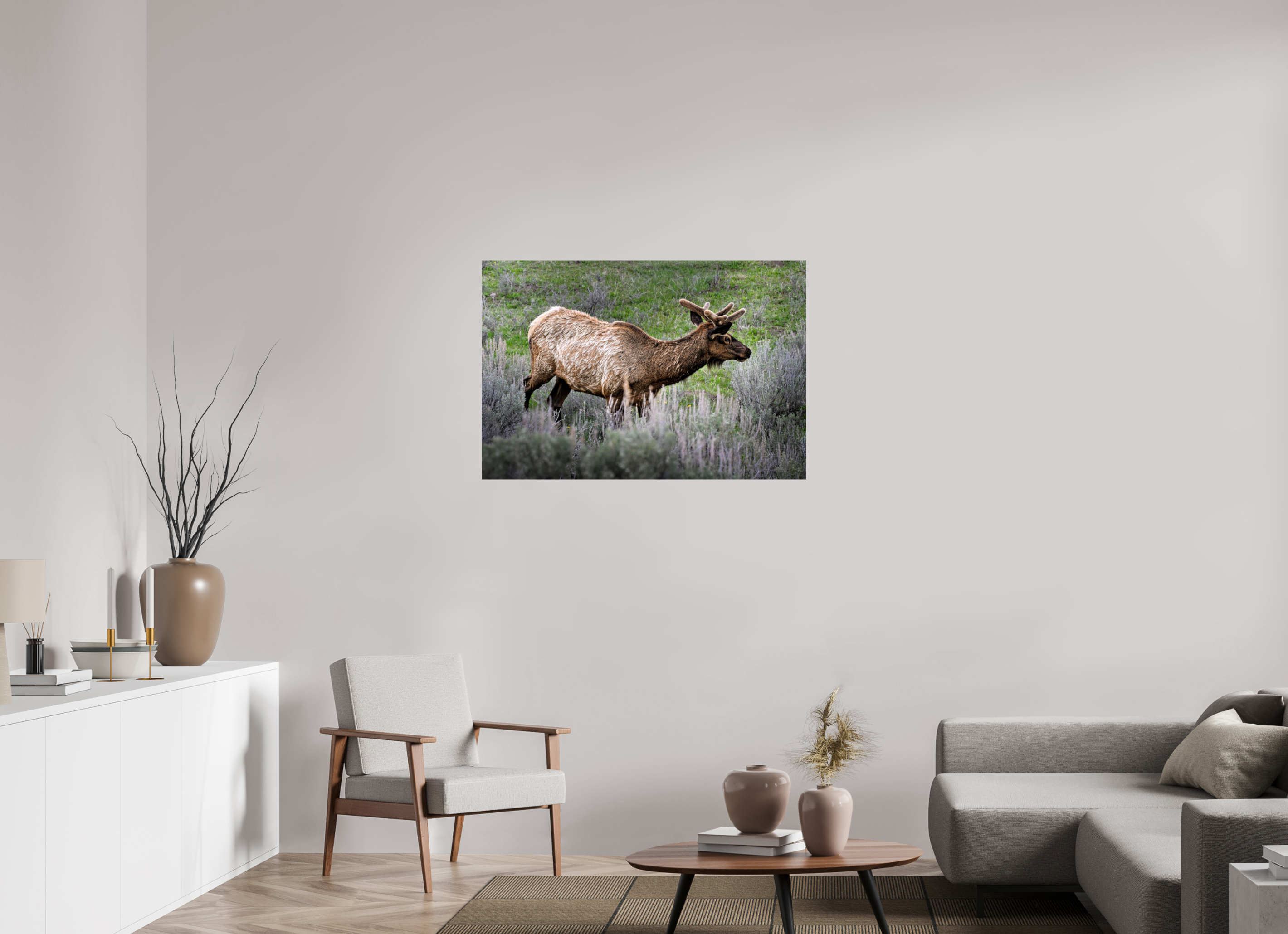 41.5 x 28″, PHOTO PAPER Elk