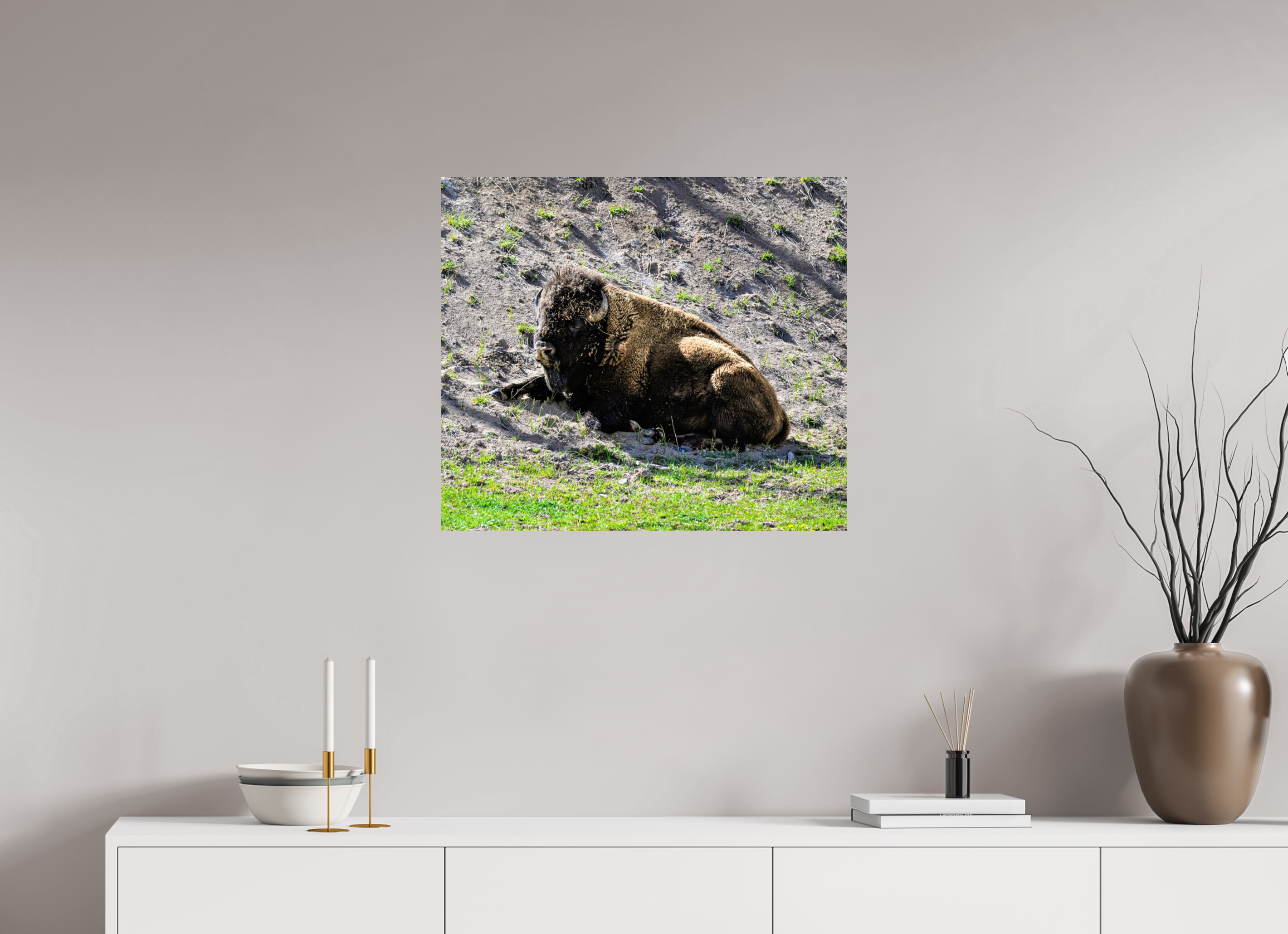 27.5 x 24″, PHOTO PAPER Bison Laying Down