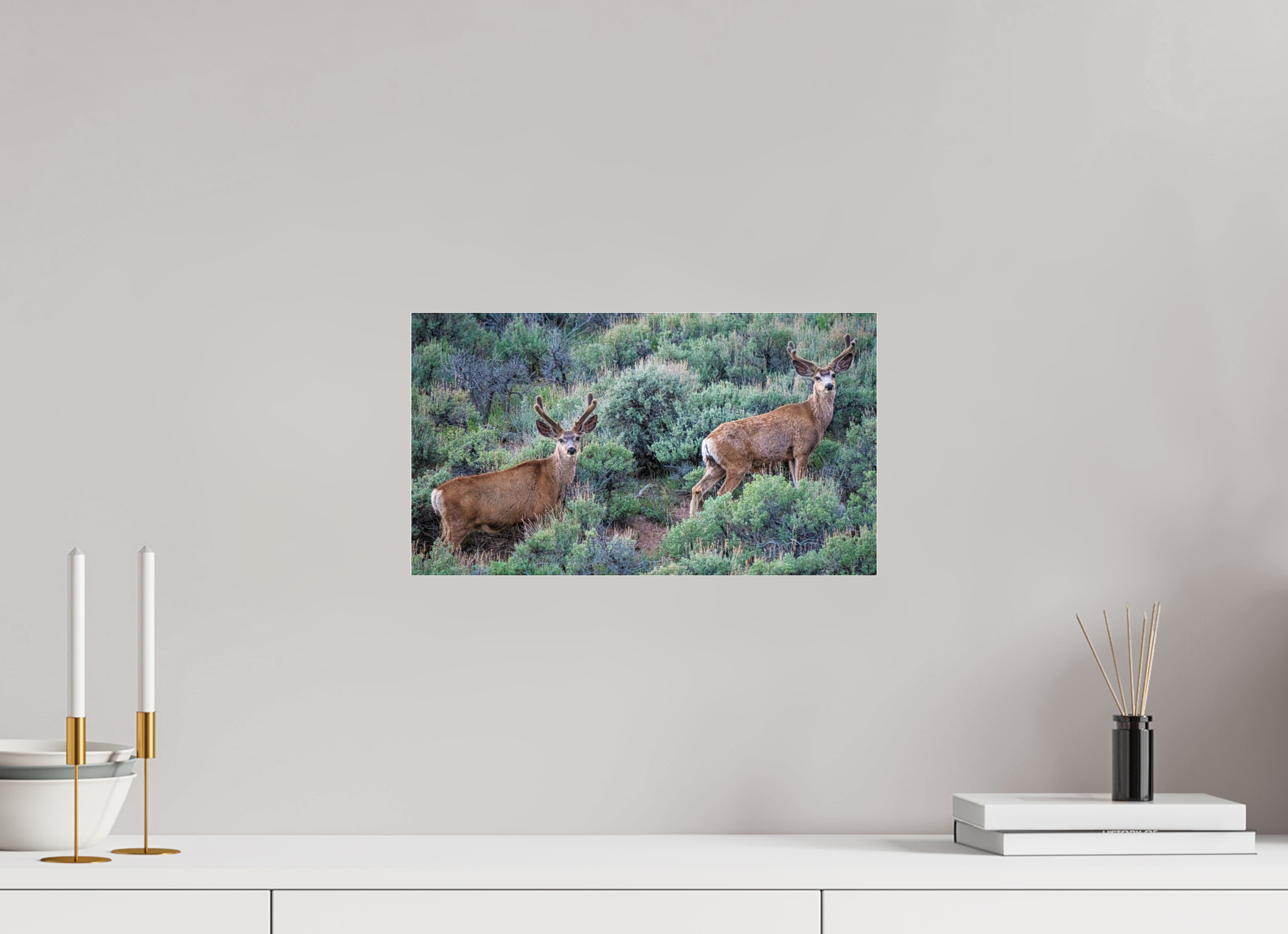 16 x 9″, ACRYLIC Deer