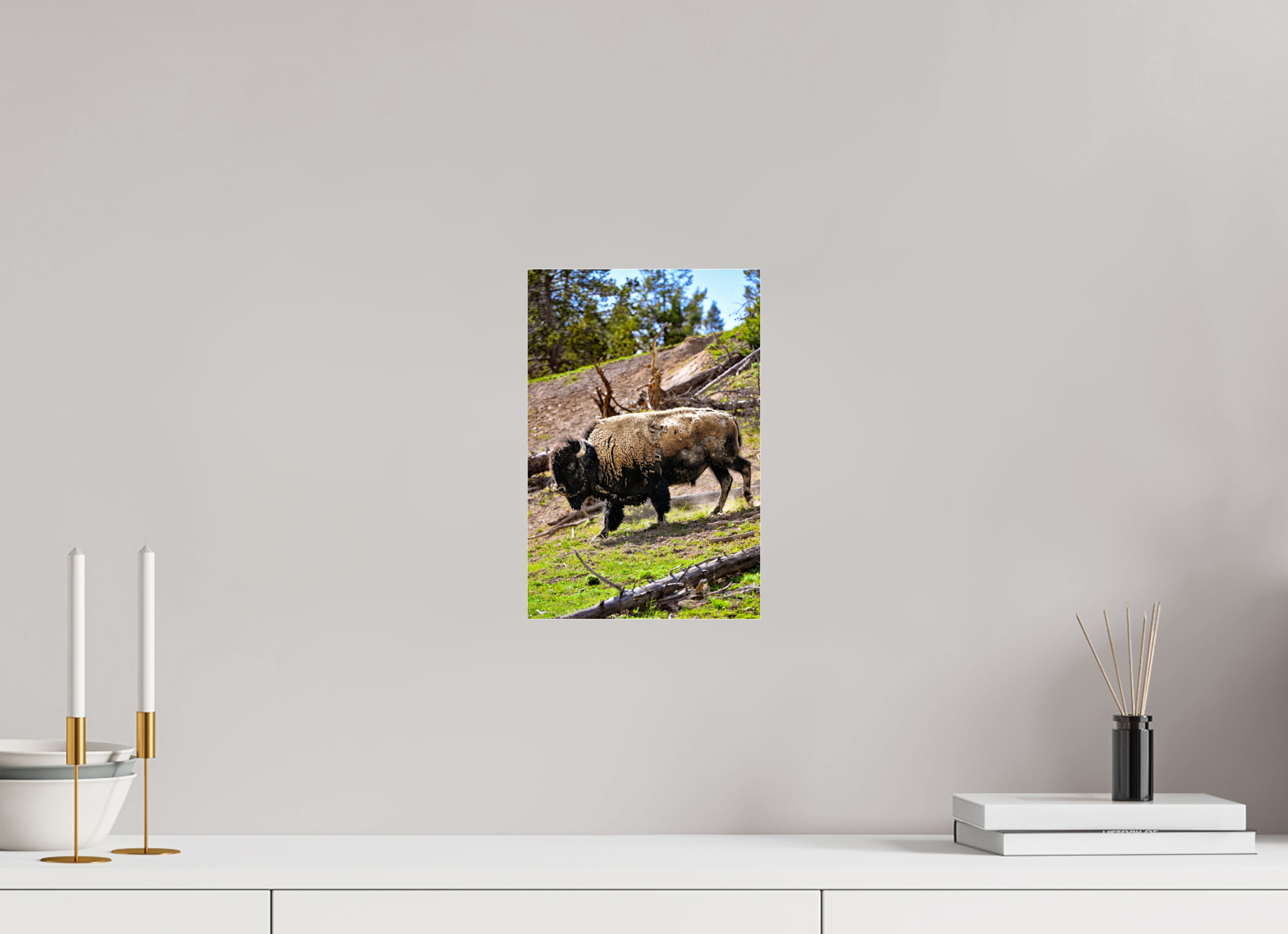 8 x 12″, ACRYLIC Bison Walking