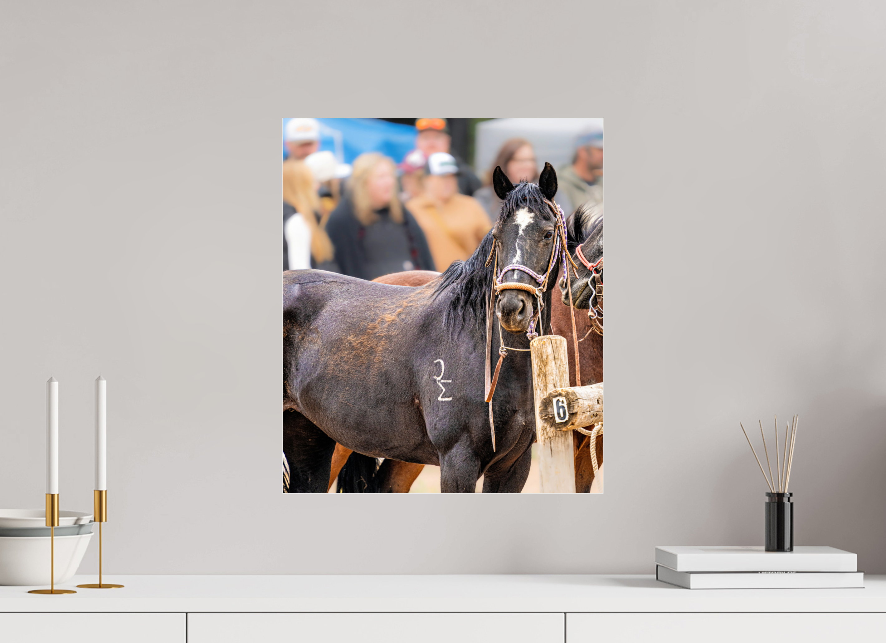 16 x 18.7″, ACRYLIC Pack Horse Portrait 16 Web Exclusive