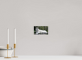 6.9 x 4″, PHOTO PAPER Wolf Laying Down