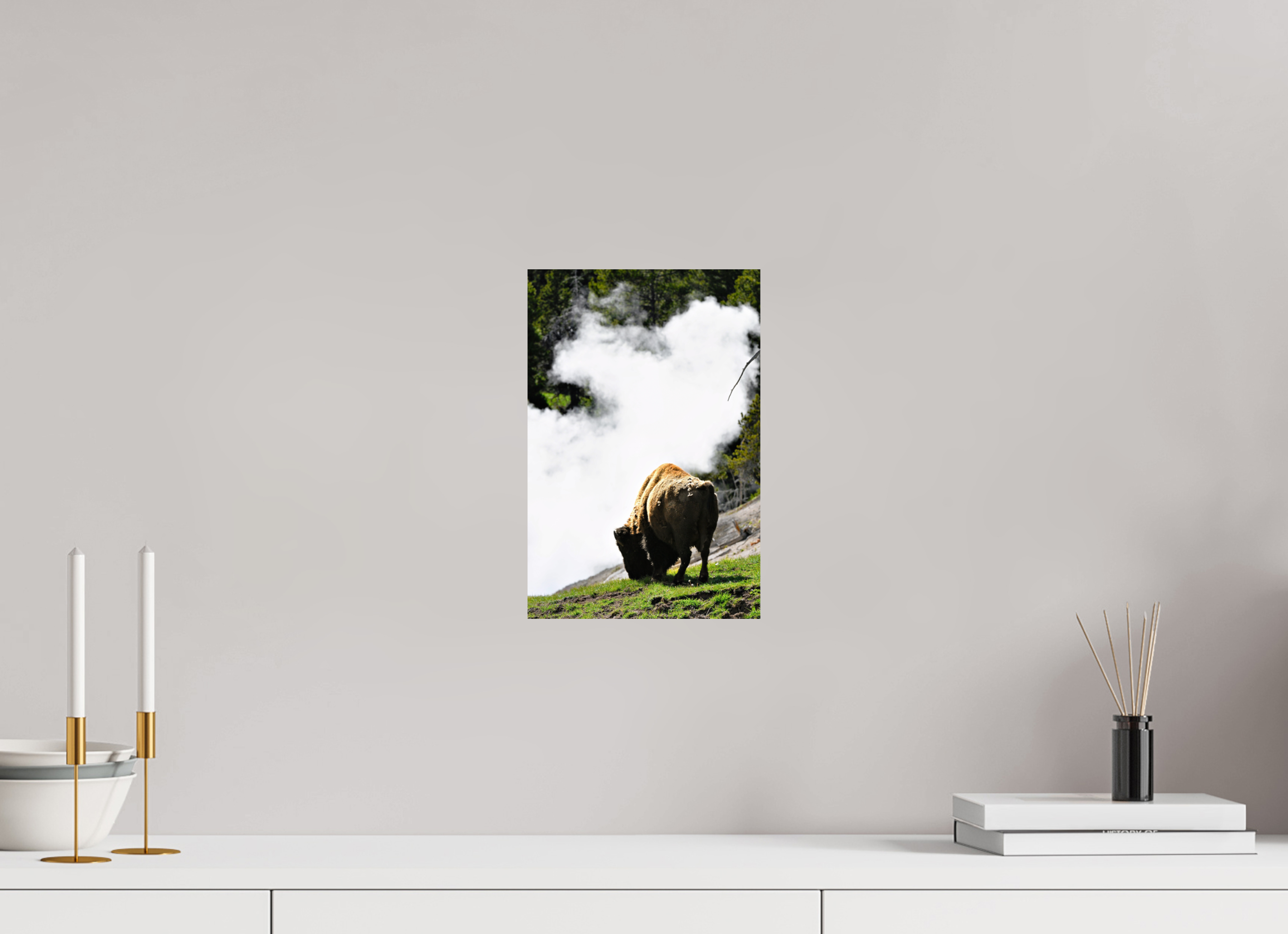 8 x 12″, METAL Bison Grazing
