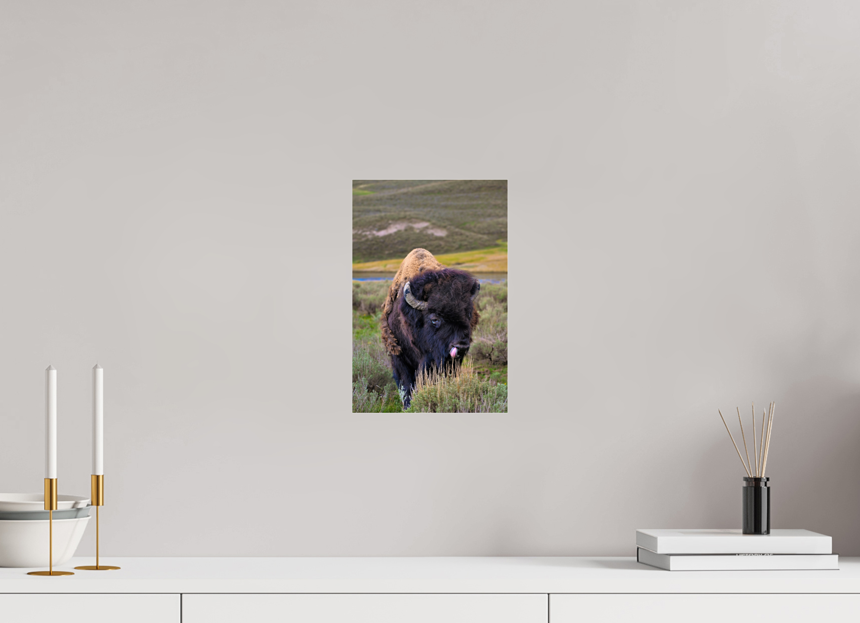 8 x 12″, ACRYLIC Bison with Tongue