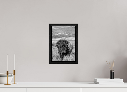 8 x 12″, Floater Frame Black and White Bison Portrait