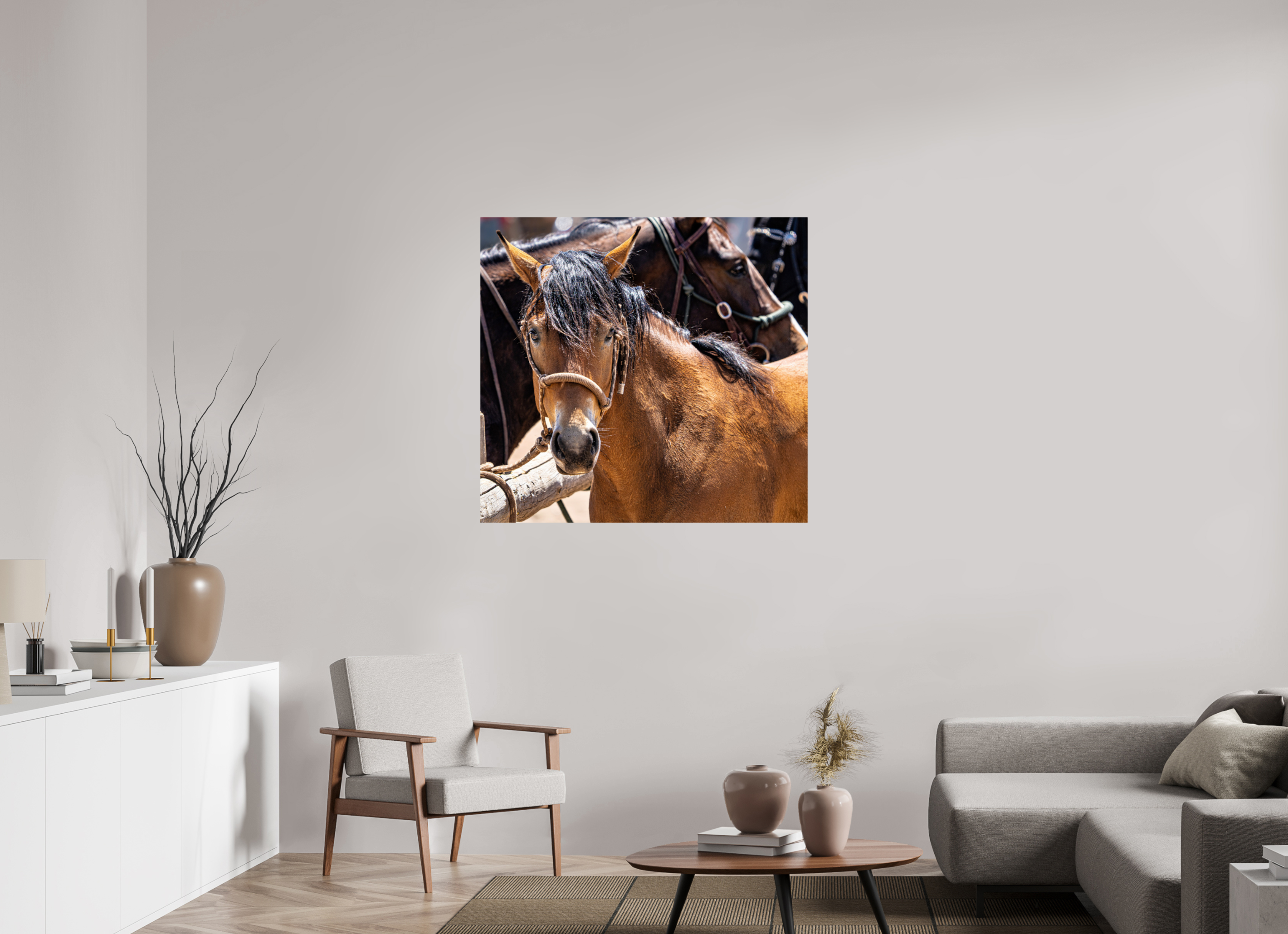 41.8 x 39″, PHOTO PAPER Pack Horse Portrait 6