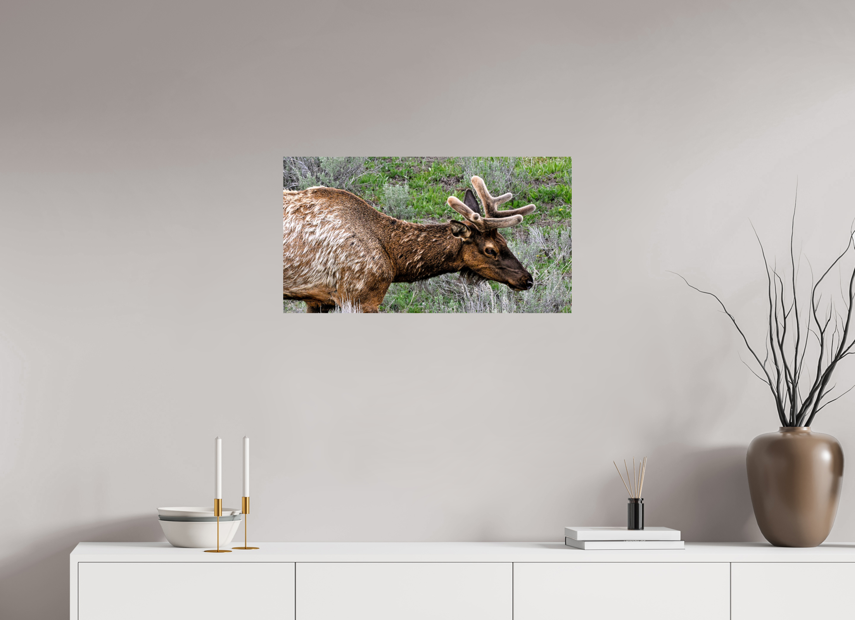 29.5 x 16″, PHOTO PAPER Elk