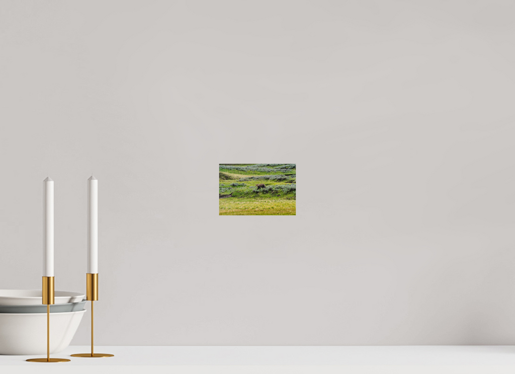 6 x 4″, PHOTO PAPER Bear