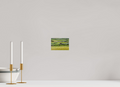 6 x 4″, PHOTO PAPER Bear