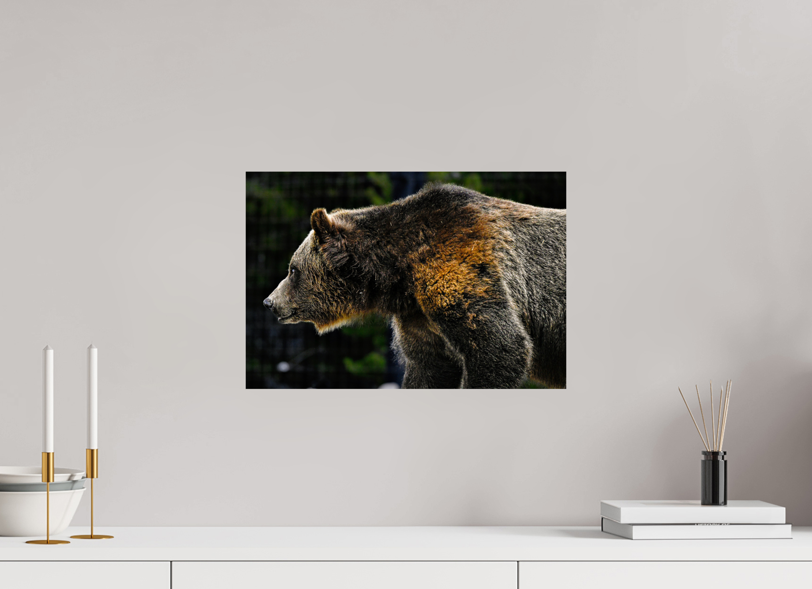 17.7 x 12″, PHOTO PAPER Bear