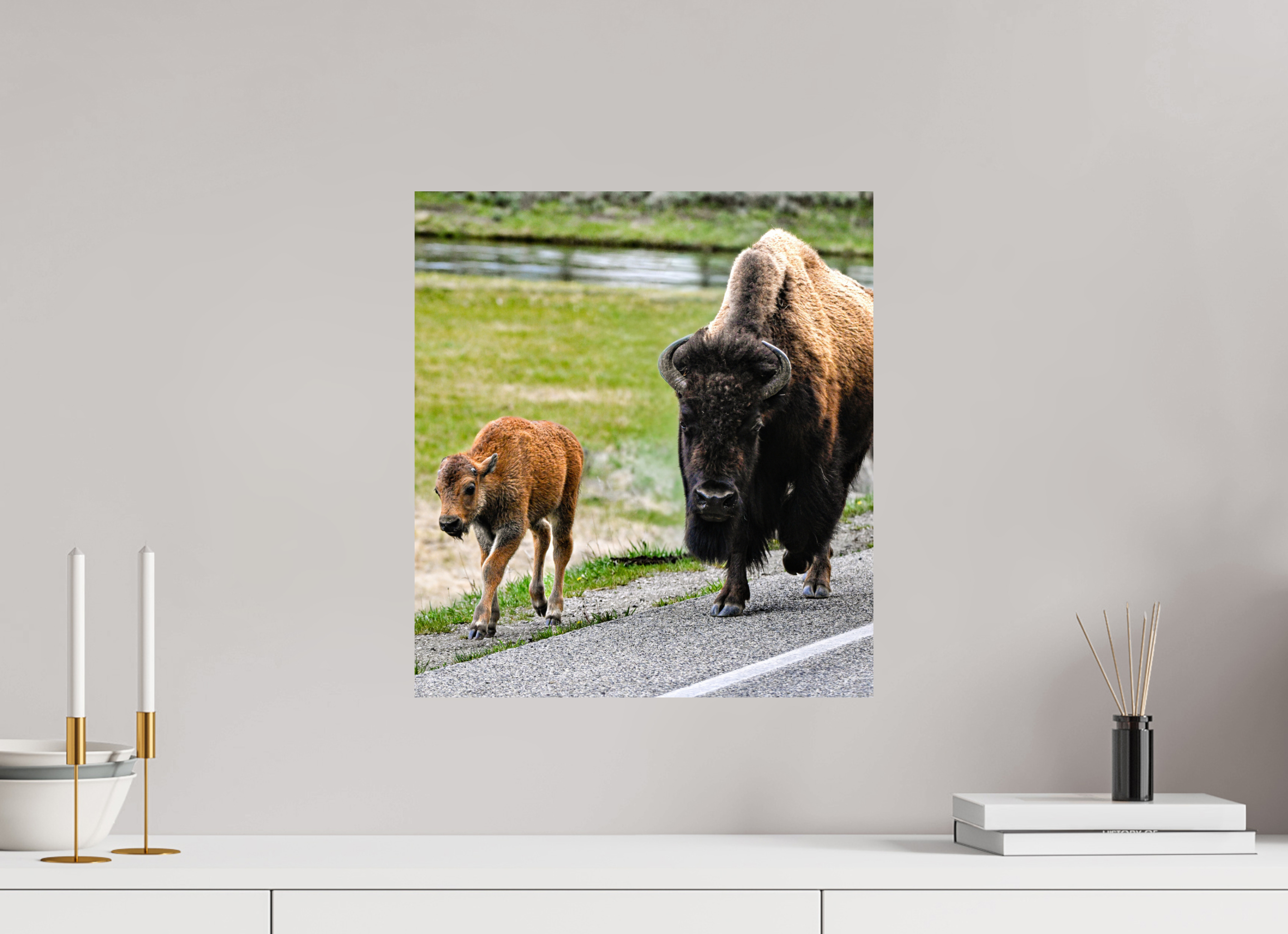 16 x 17.6″, PHOTO PAPER Bison and Red Dog On the Street