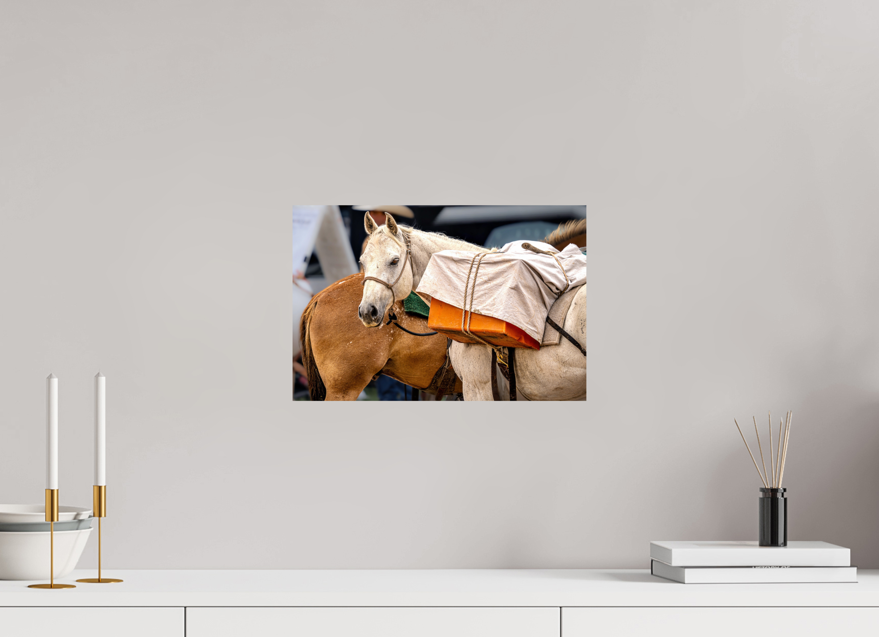 15 x 10″, PHOTO PAPER Pack Horse Portrait 19 Web Exclusive