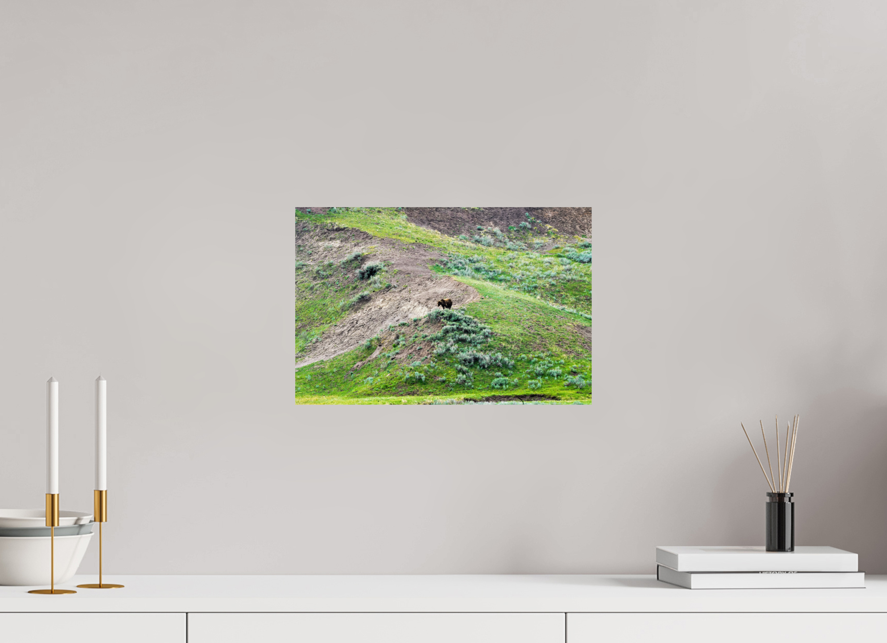 15 x 10″, PHOTO PAPER Bear