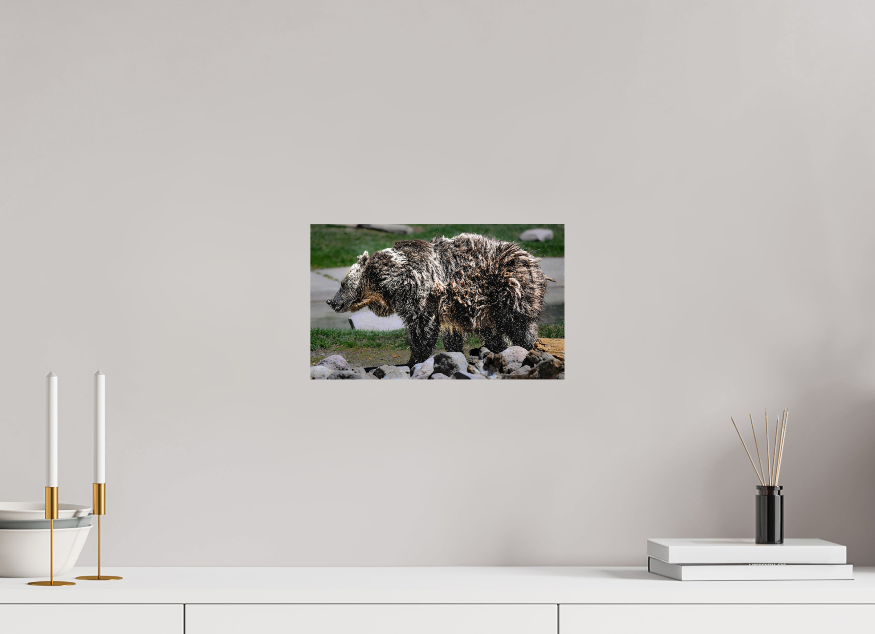 13 x 8″, PHOTO PAPER Bear