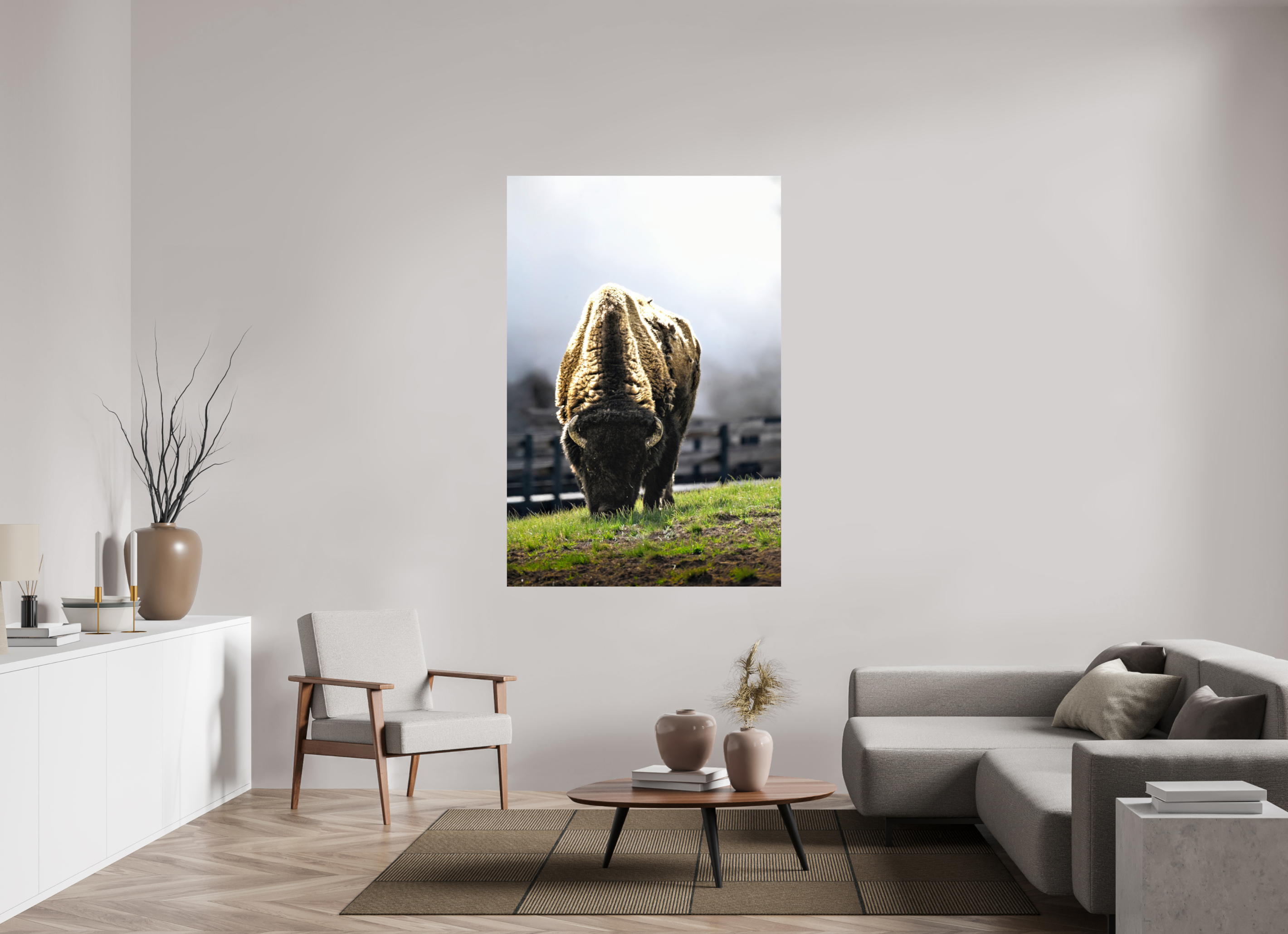 44 x 66″, METAL Bison Grazing