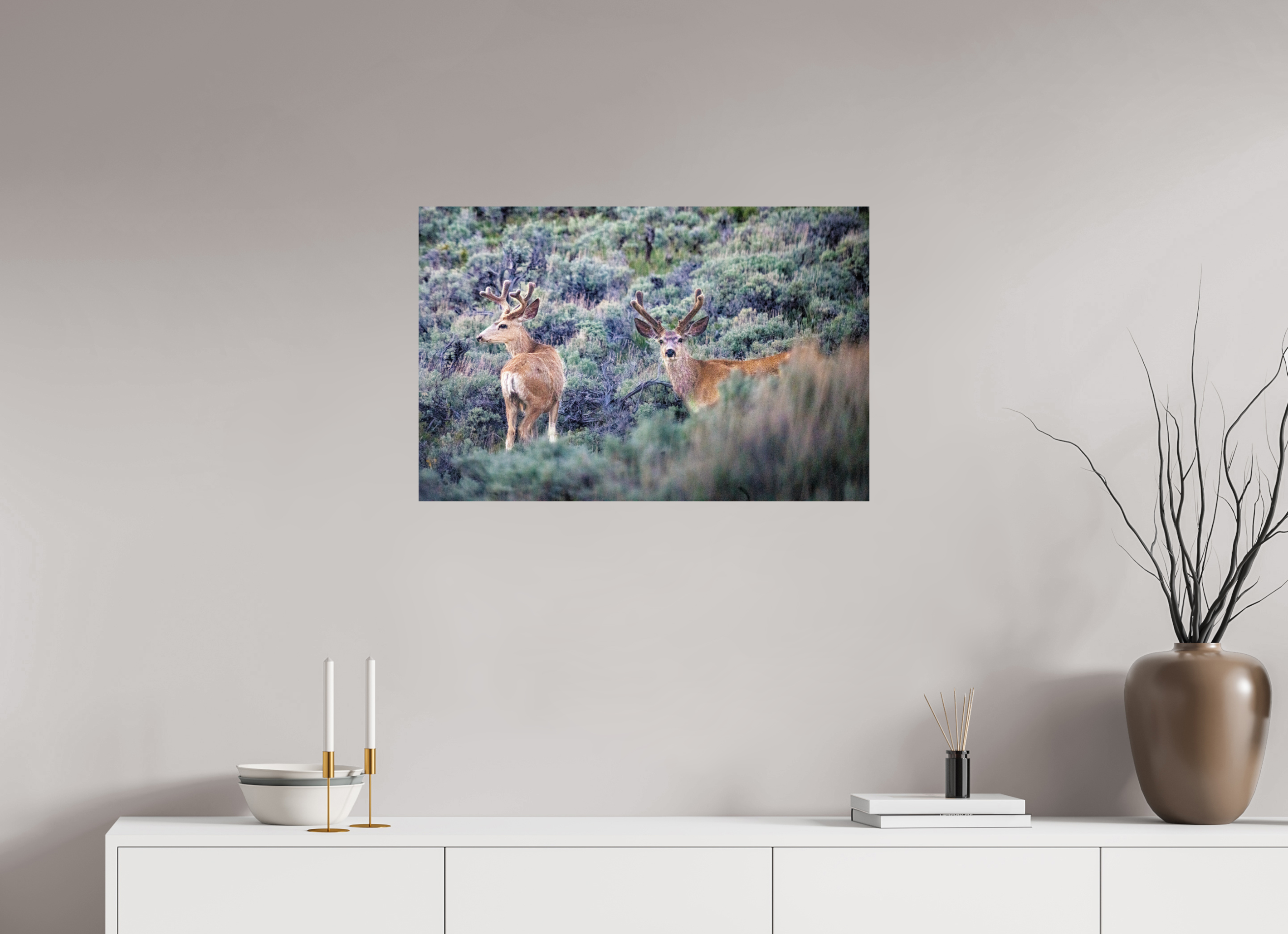 30.6 x 20″, PHOTO PAPER Deer