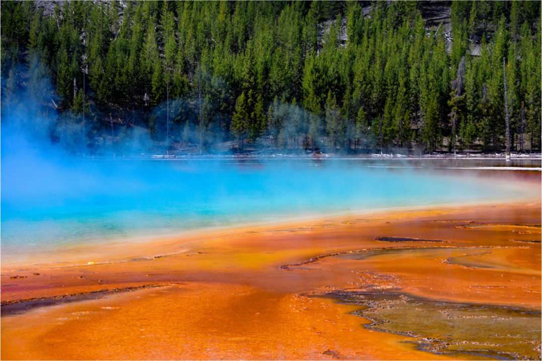 Main image Yellowstone