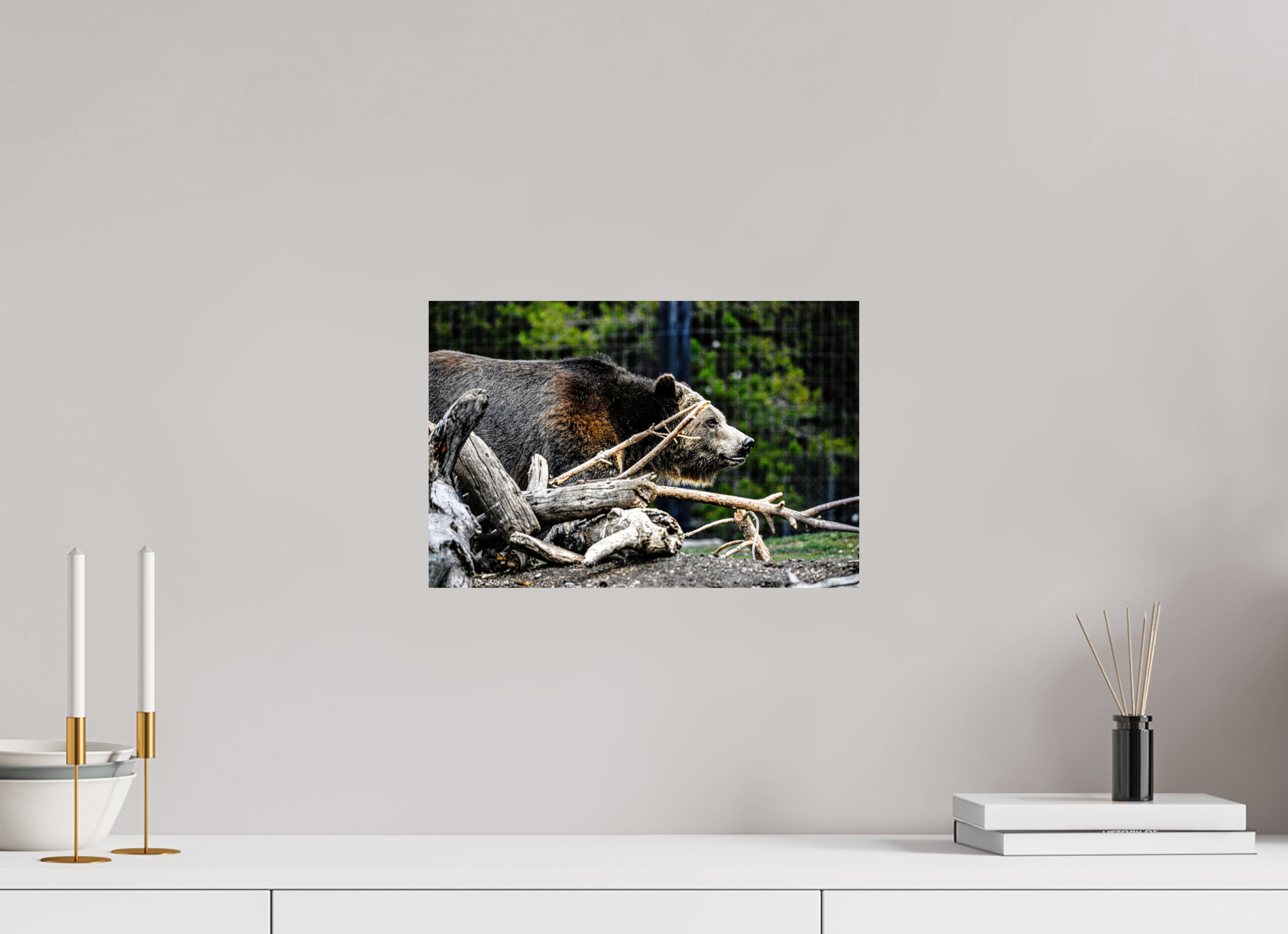 15 x 10″, PHOTO PAPER Bear