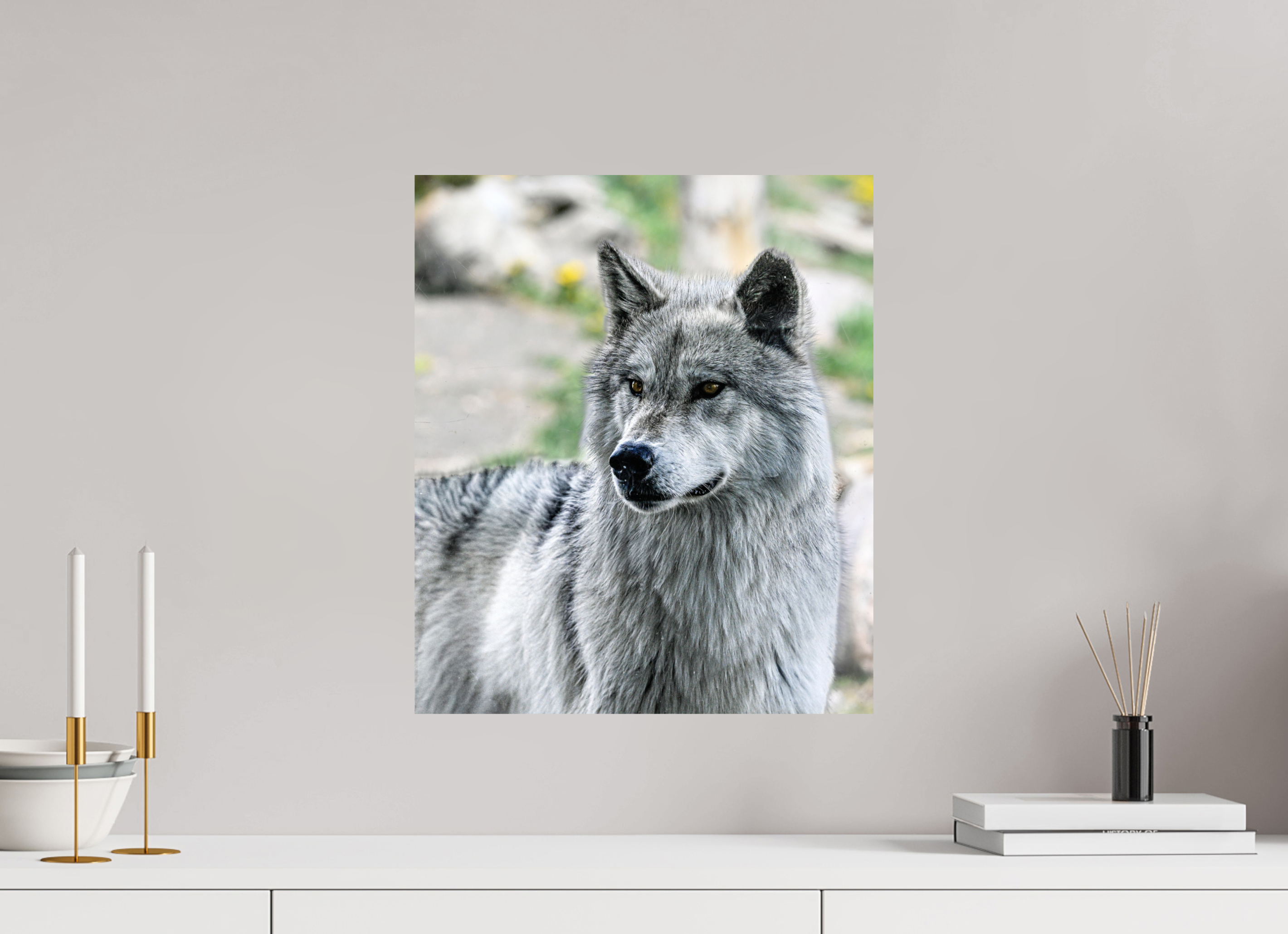 16 x 18.8″, PHOTO PAPER Wolf Portrait