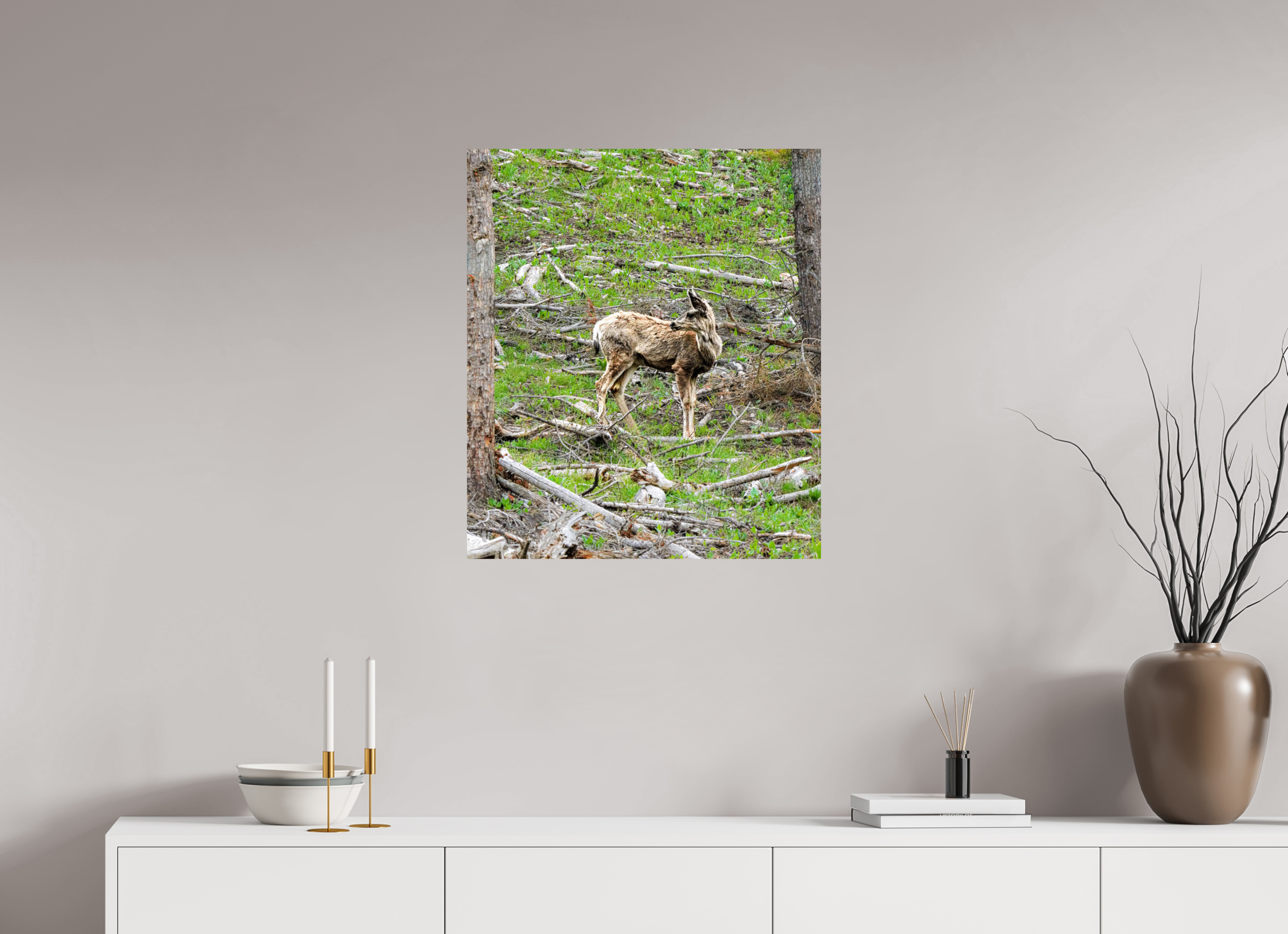 24 x 27.8″, PHOTO PAPER Deer