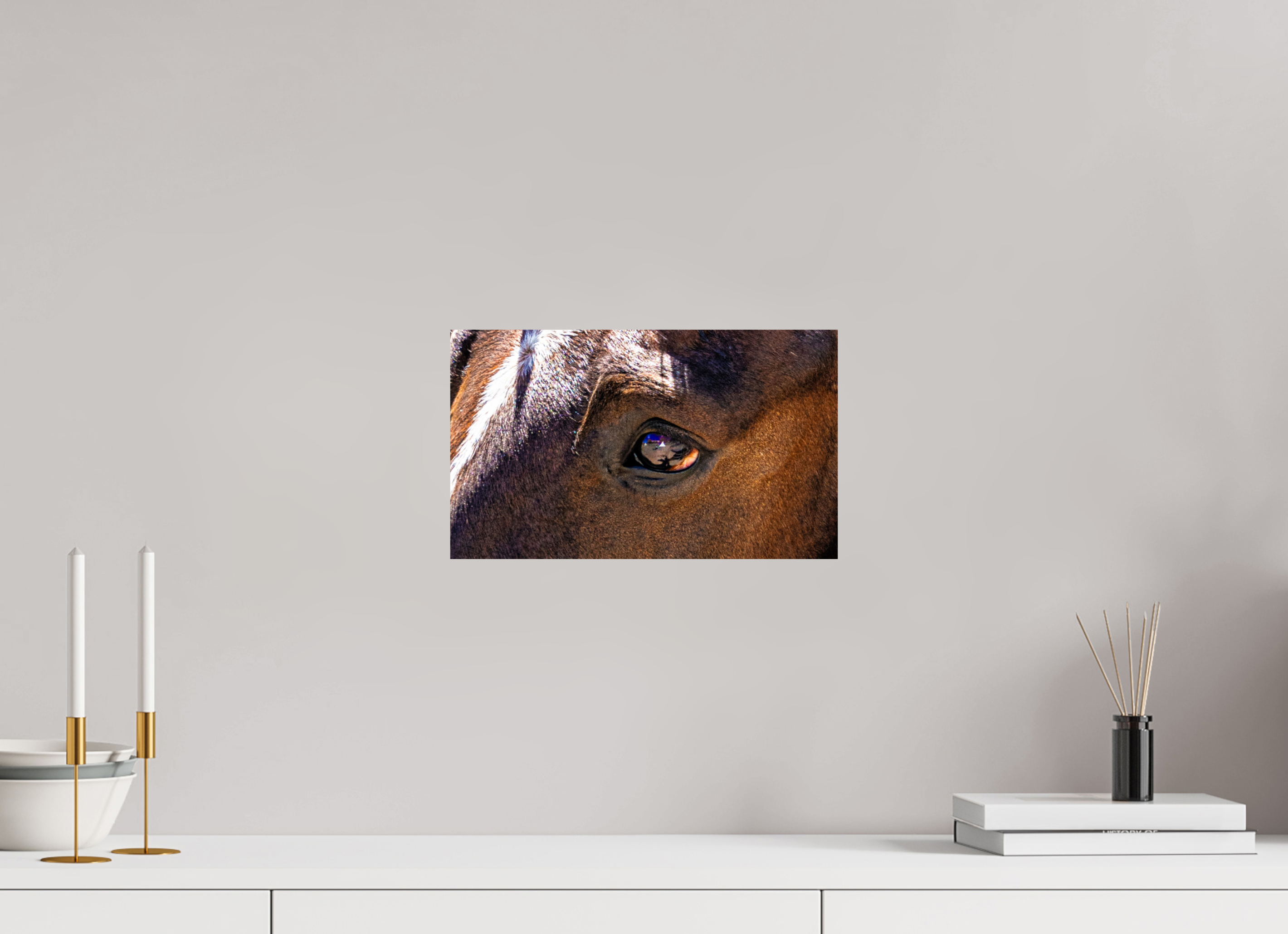 13.5 x 8″, PHOTO PAPER Pack Horse Eye