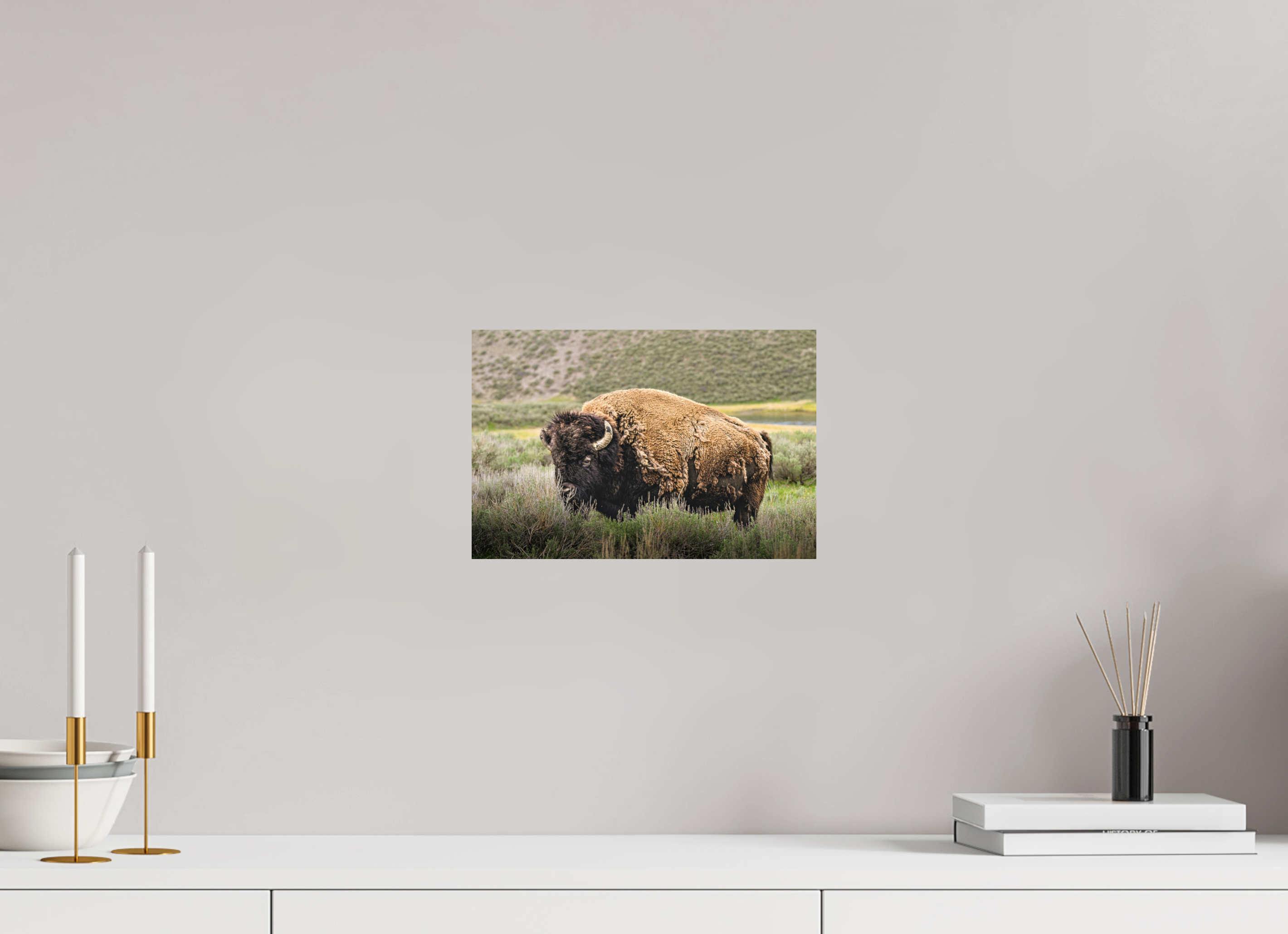 12 x 8″, PHOTO PAPER Bison