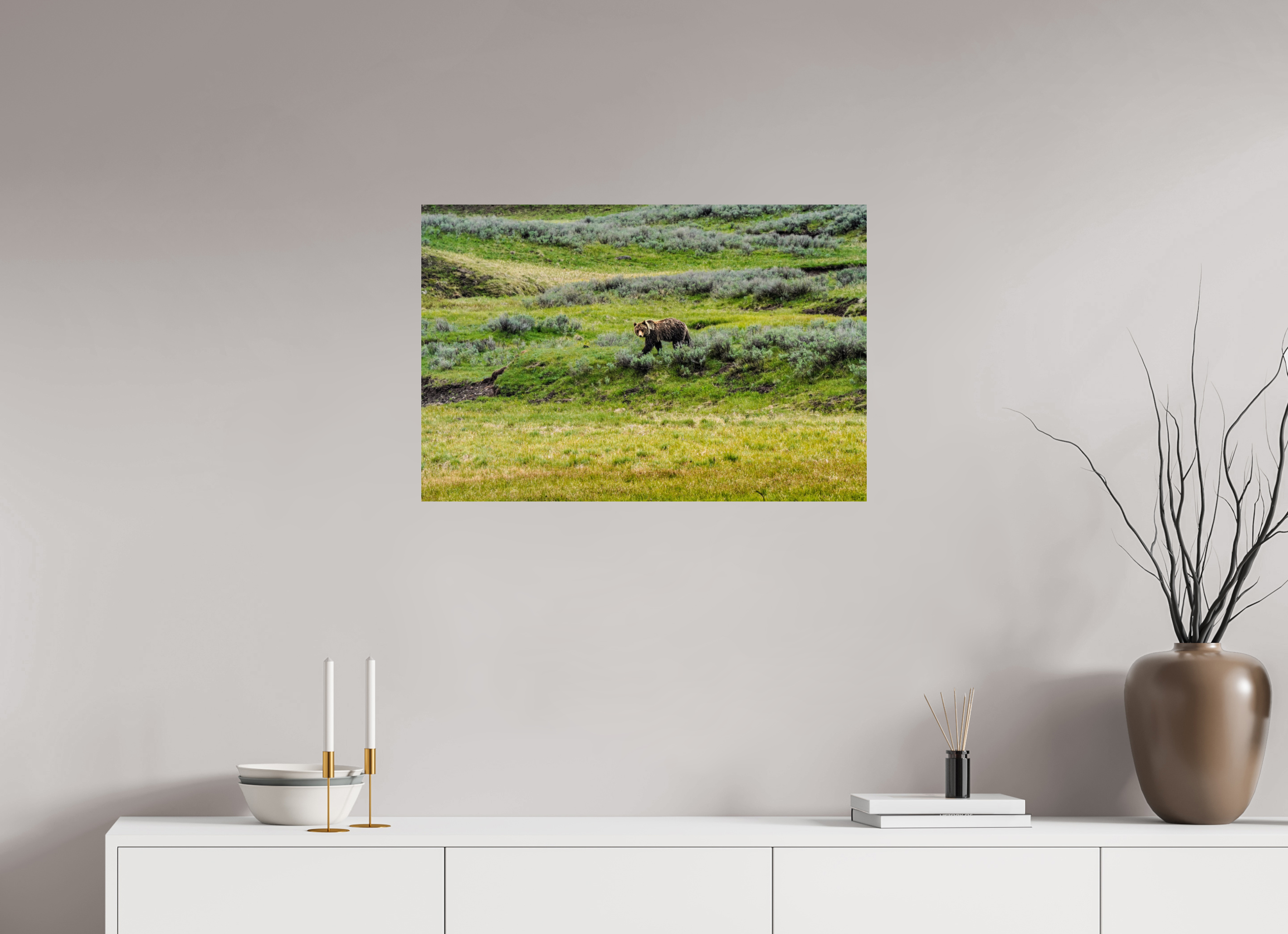 30 x 20″, METAL Bear